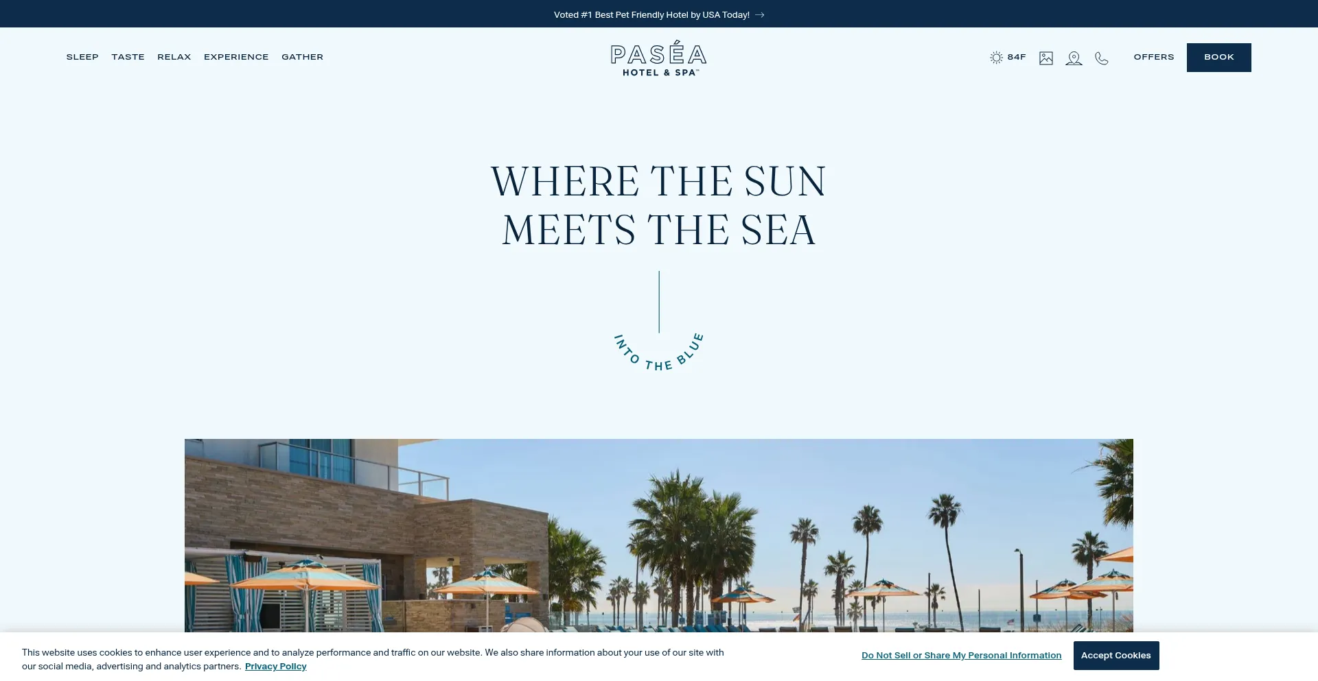 Website screenshot of Paseahotel.com