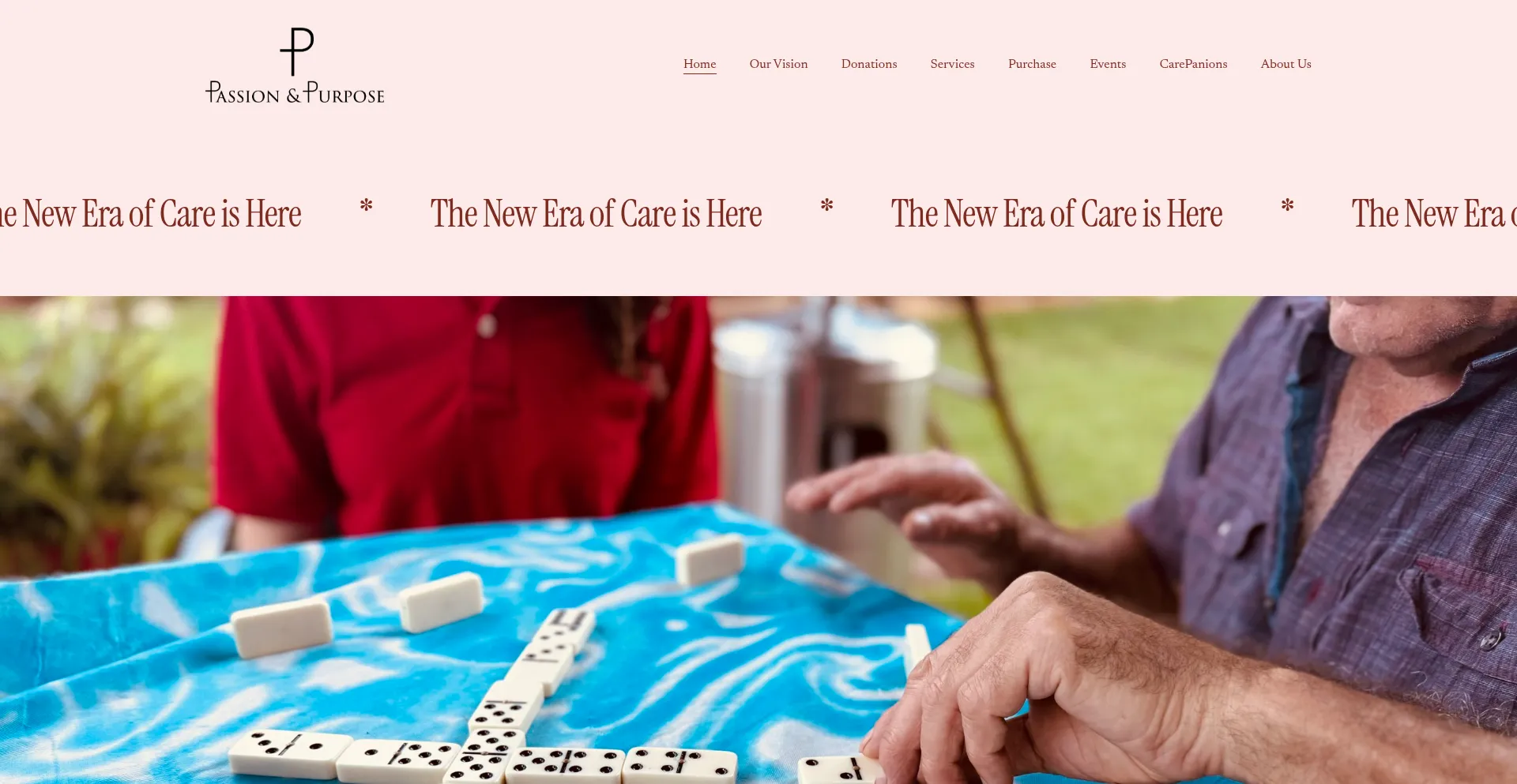 Website screenshot of Passionandpurpose.net