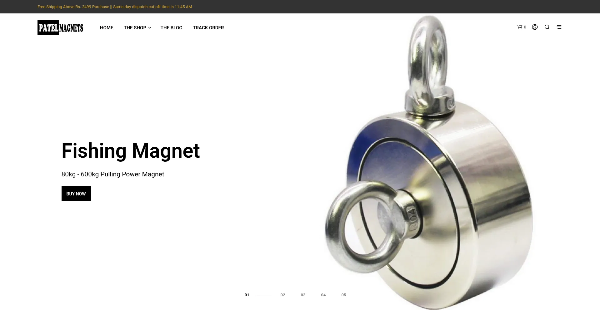 Patelmagnets.com Screenshot