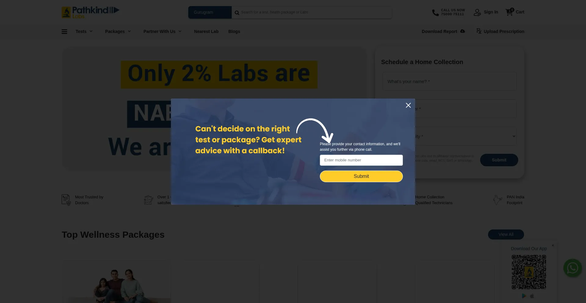 Website screenshot of Pathkindlabs.com