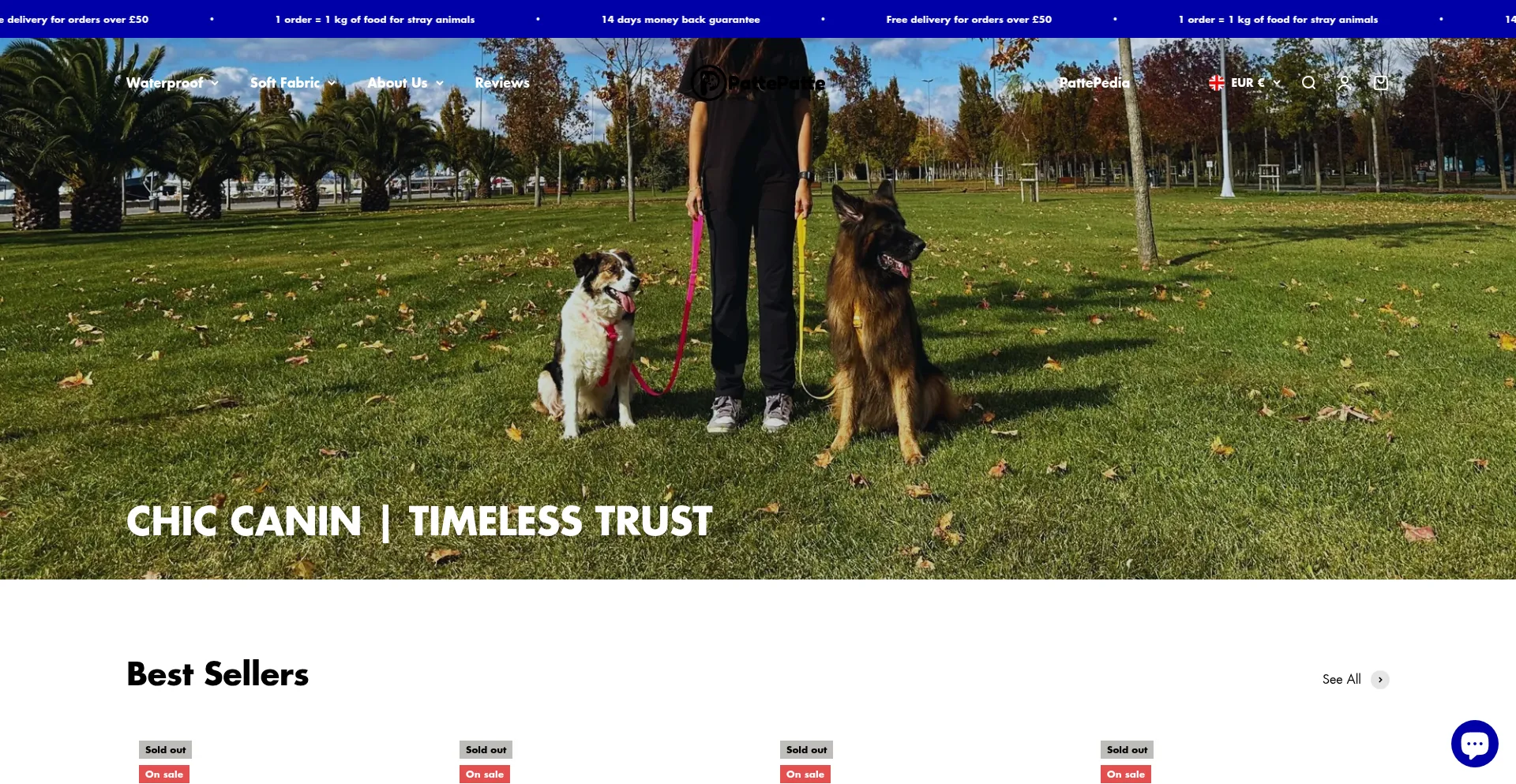 Website screenshot of Pattepatte.co