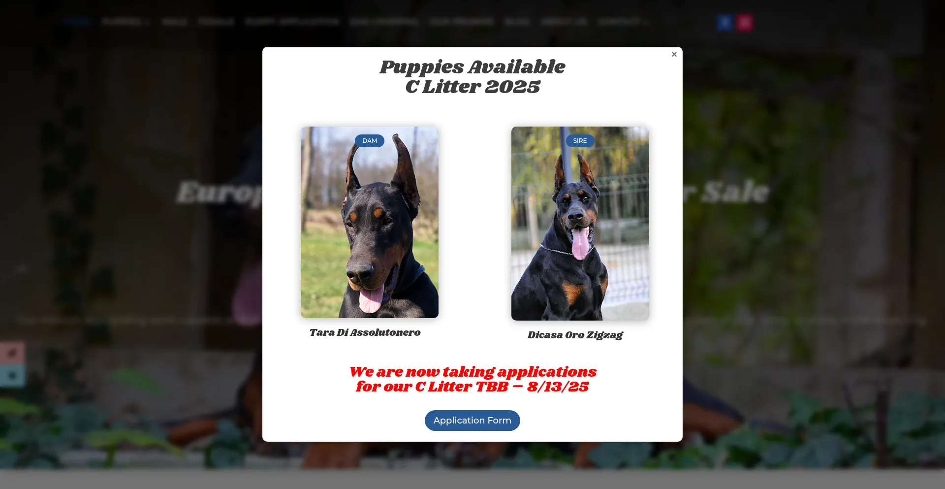 Is Pauldobermankennel.com Safe?
