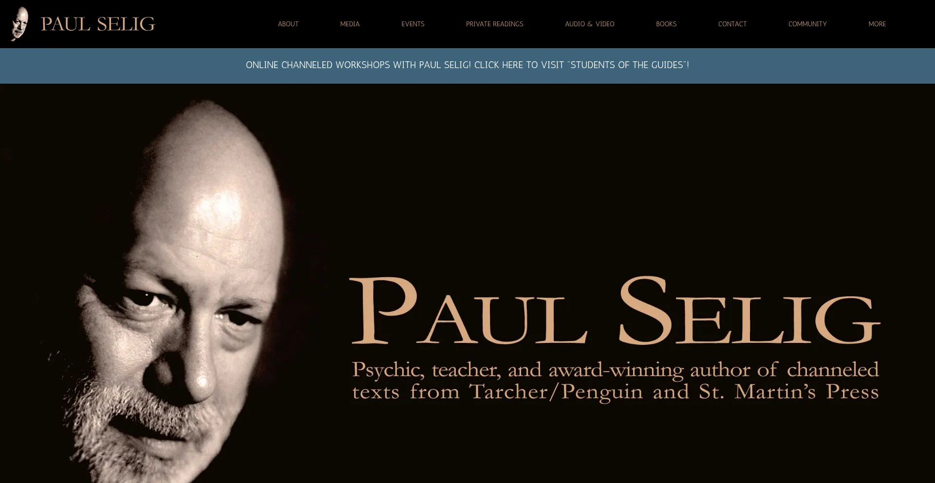Paulselig.com Screenshot