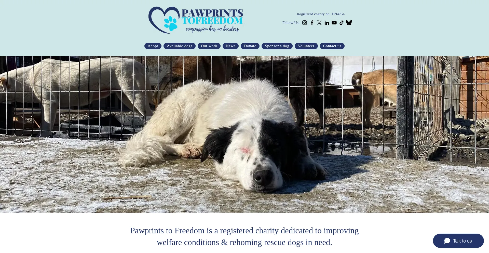 Pawprints2freedom.co.uk Screenshot