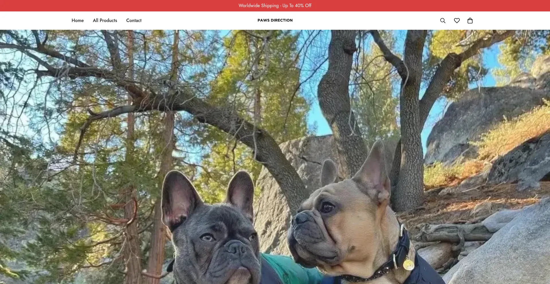 Website screenshot of Pawsdirection.com