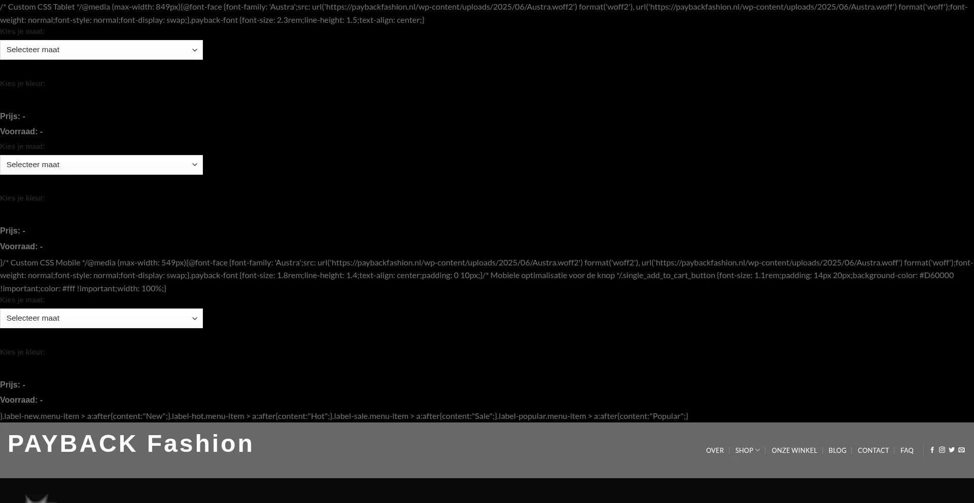 Website screenshot of Paybackfashion.nl