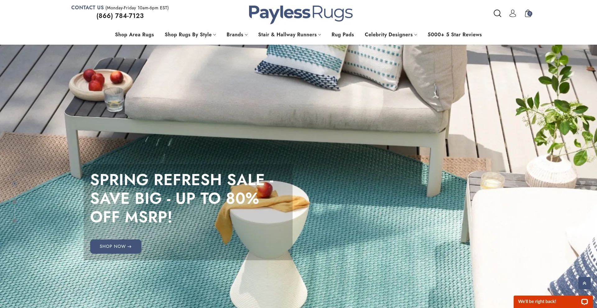 Website screenshot of Paylessrugs.com