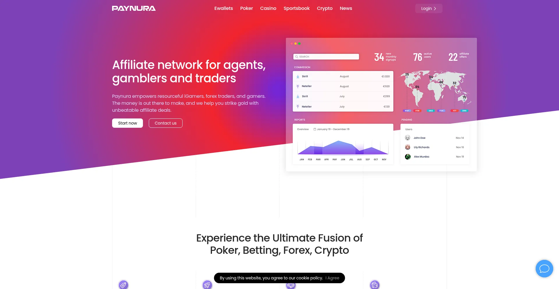 Website screenshot of Paynura.com