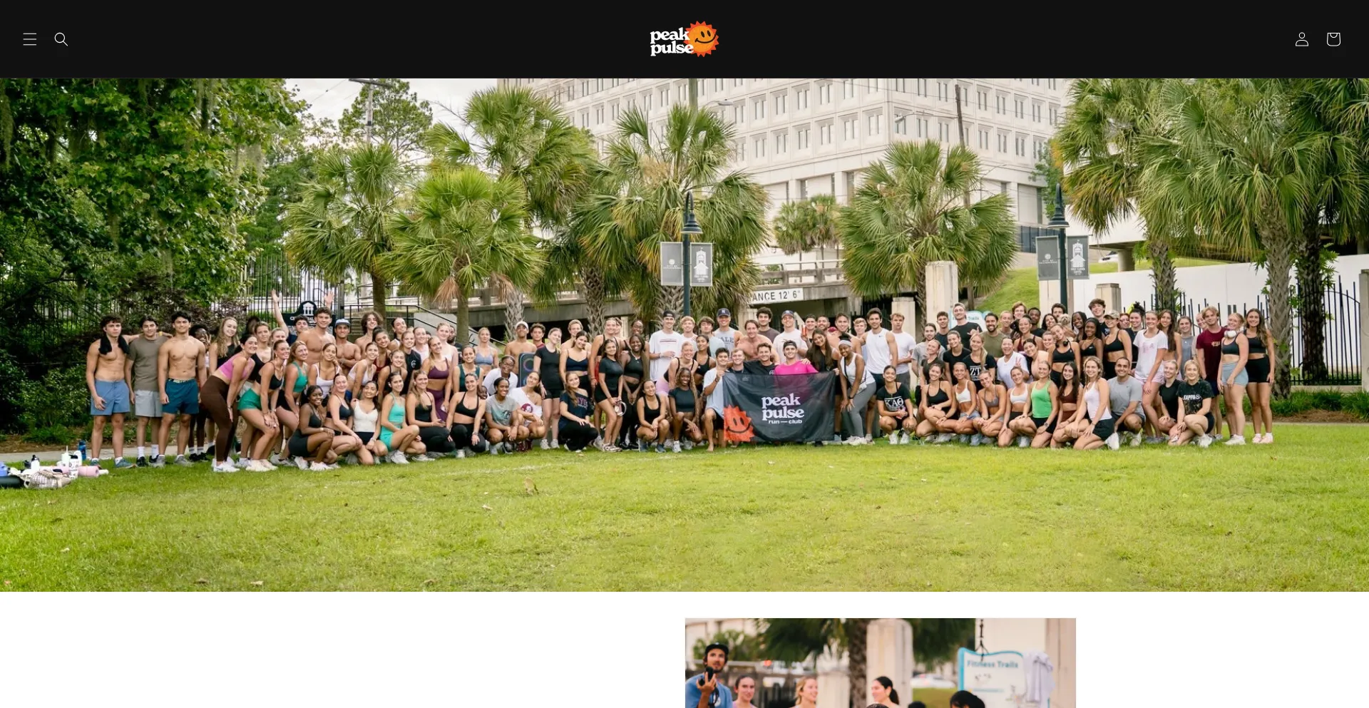 Website screenshot of Peakpulseclub.com