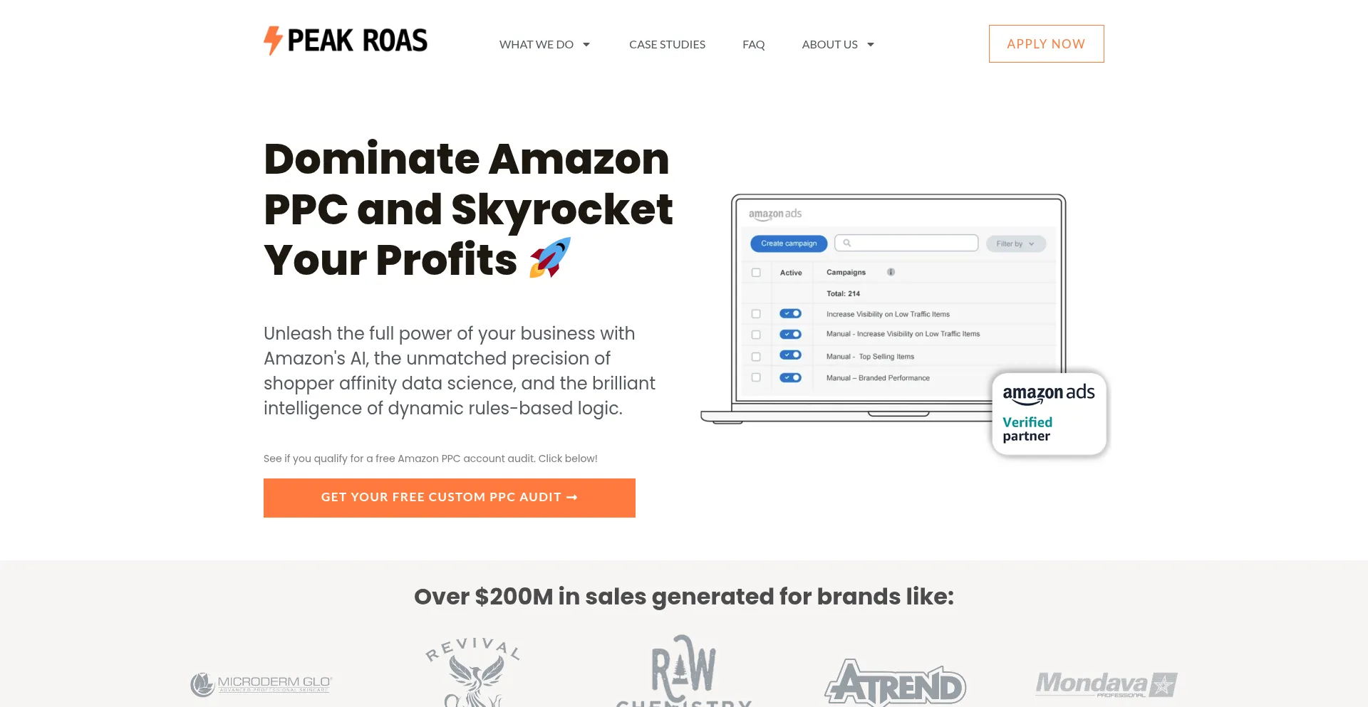 Website screenshot of Peakroas.ai