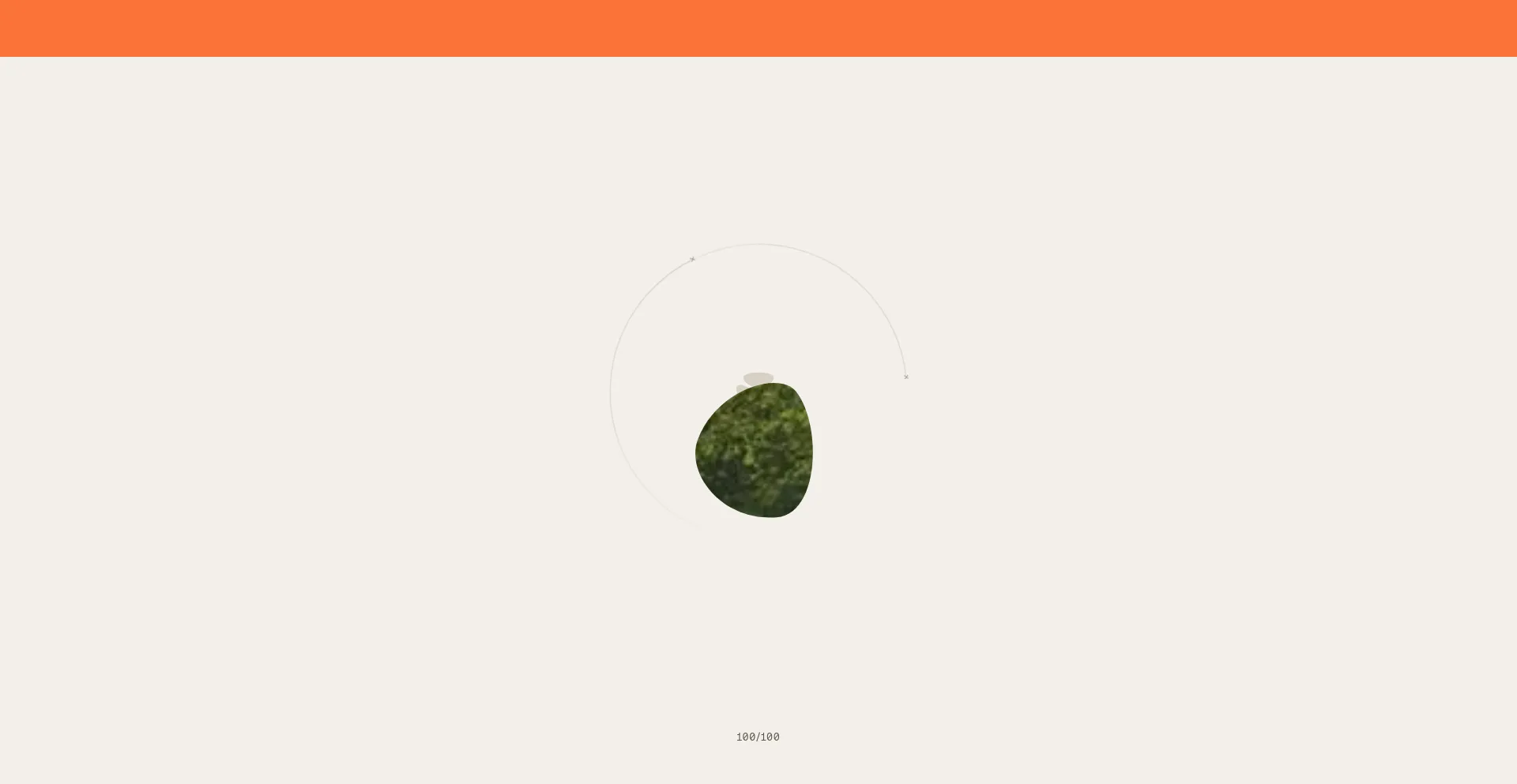 Pebblelife.com Screenshot
