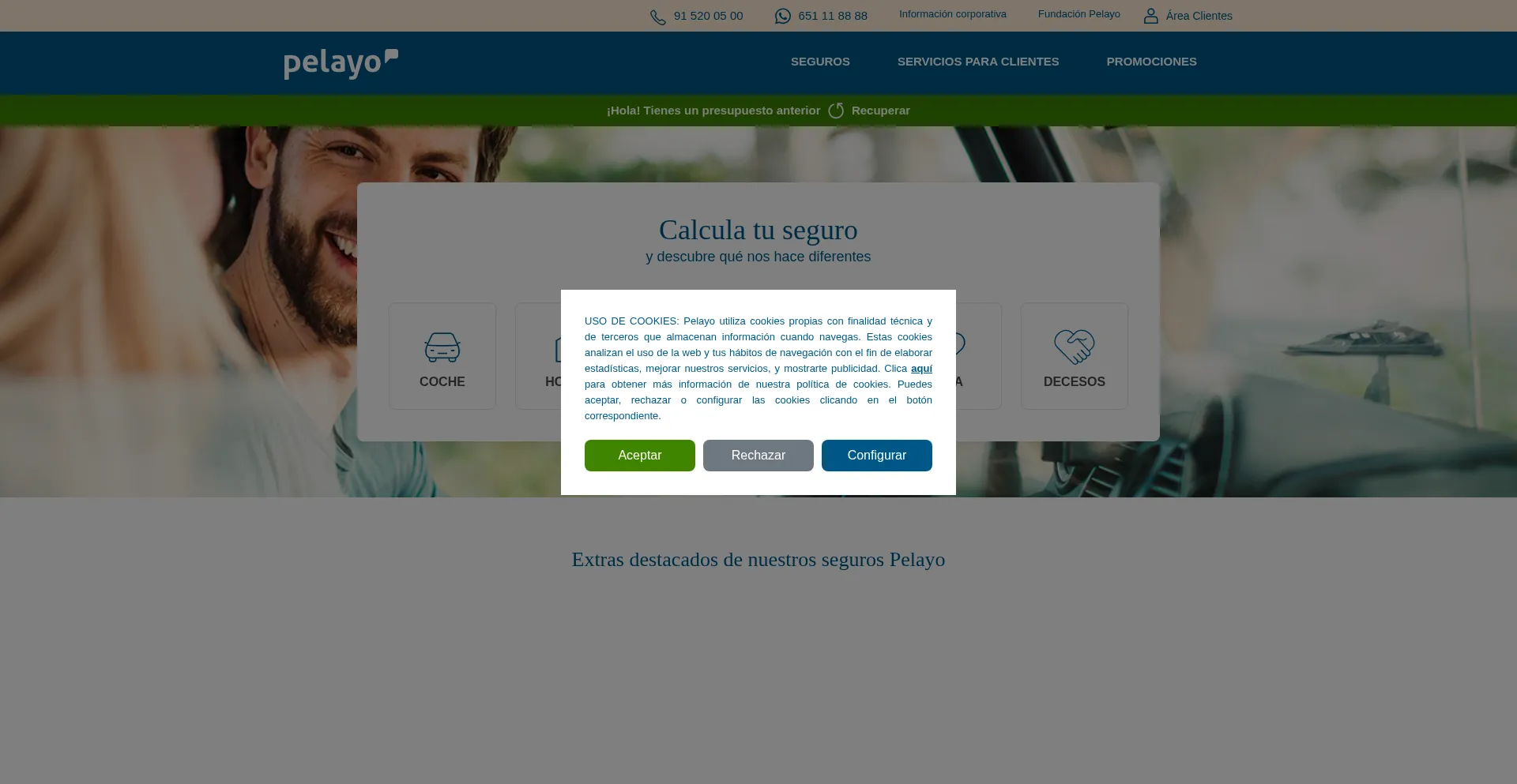Pelayo.com Screenshot