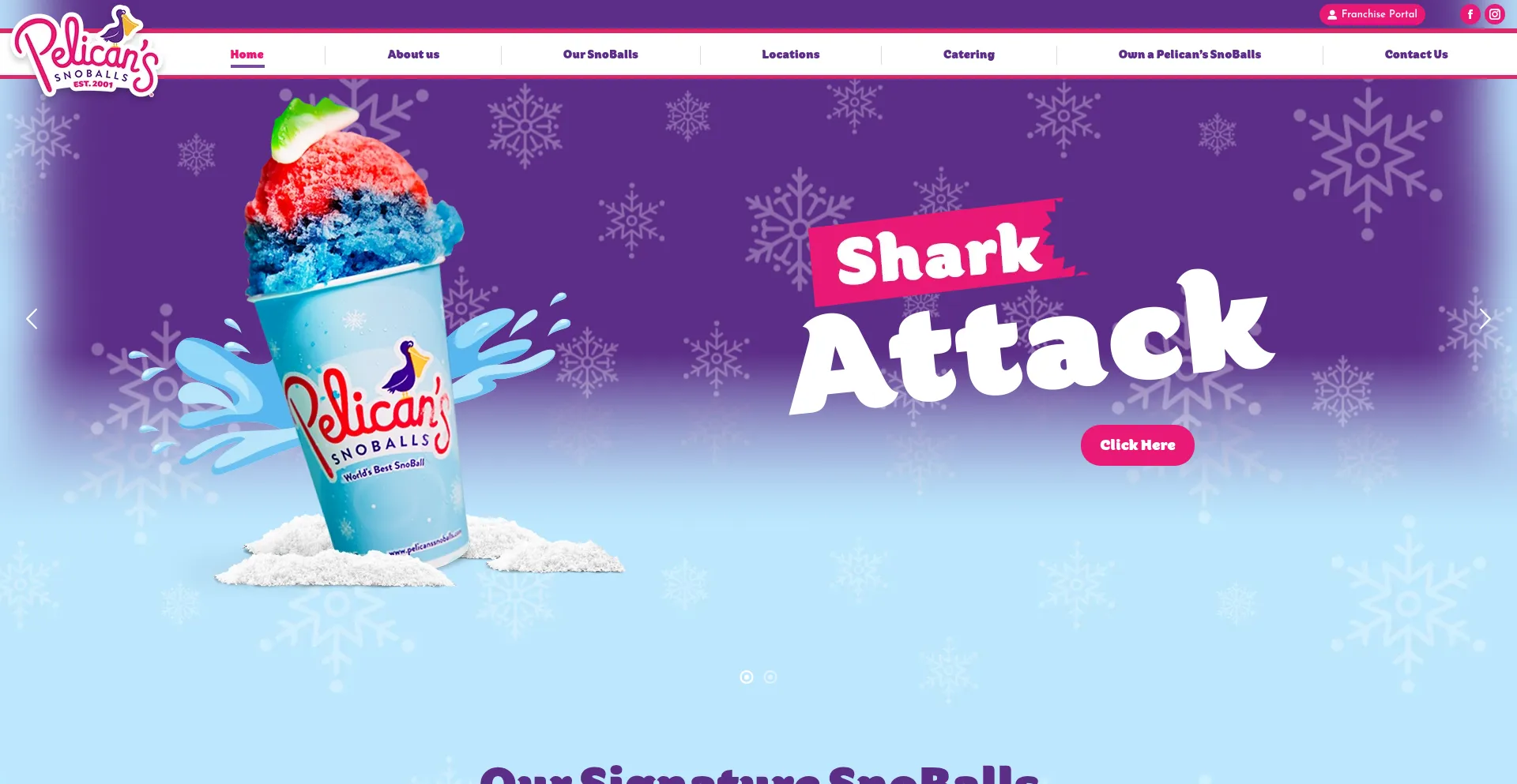 Website screenshot of Pelicanssnoballs.com