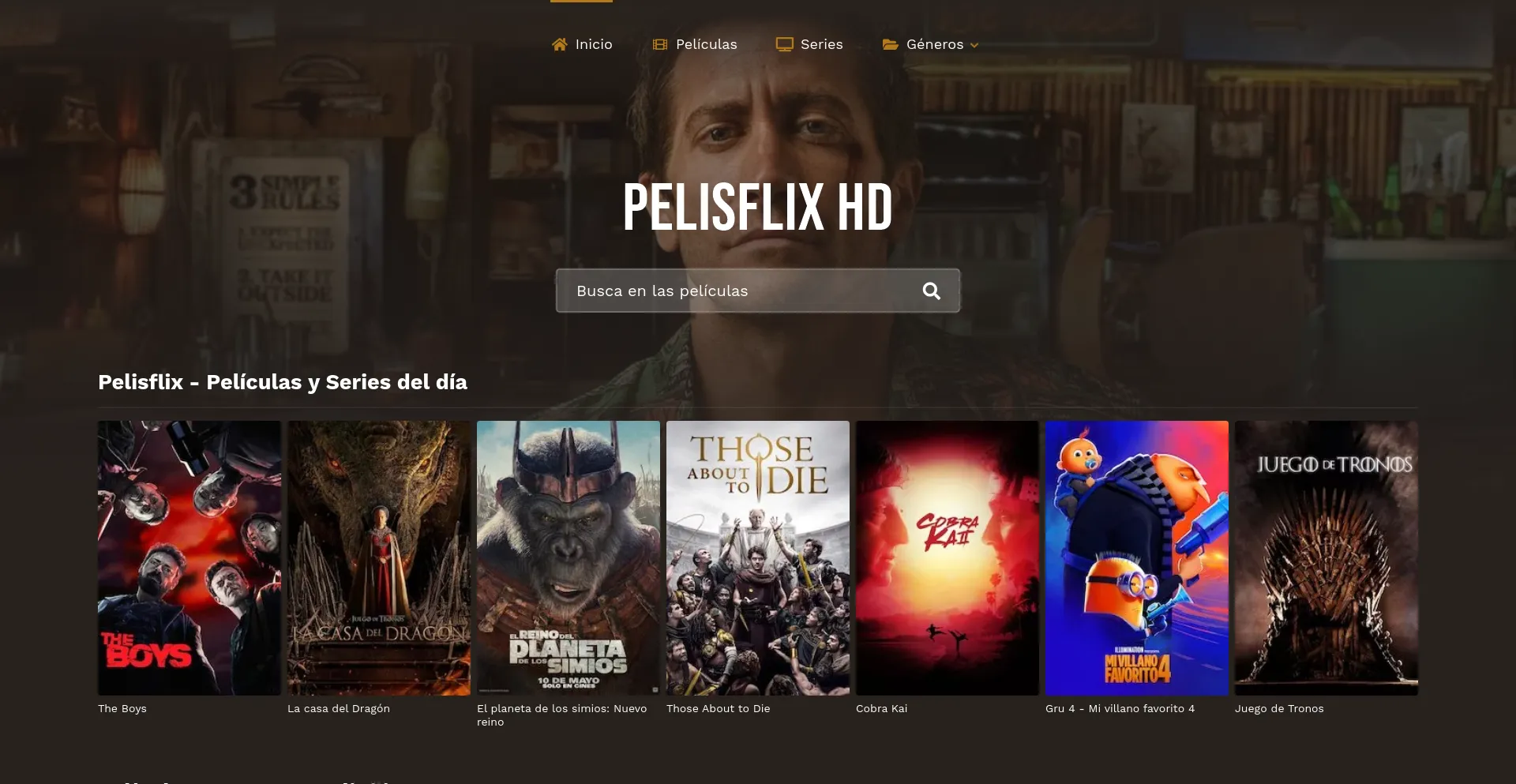 Pelisflix.rip Reviews | Check if site is scam or legit