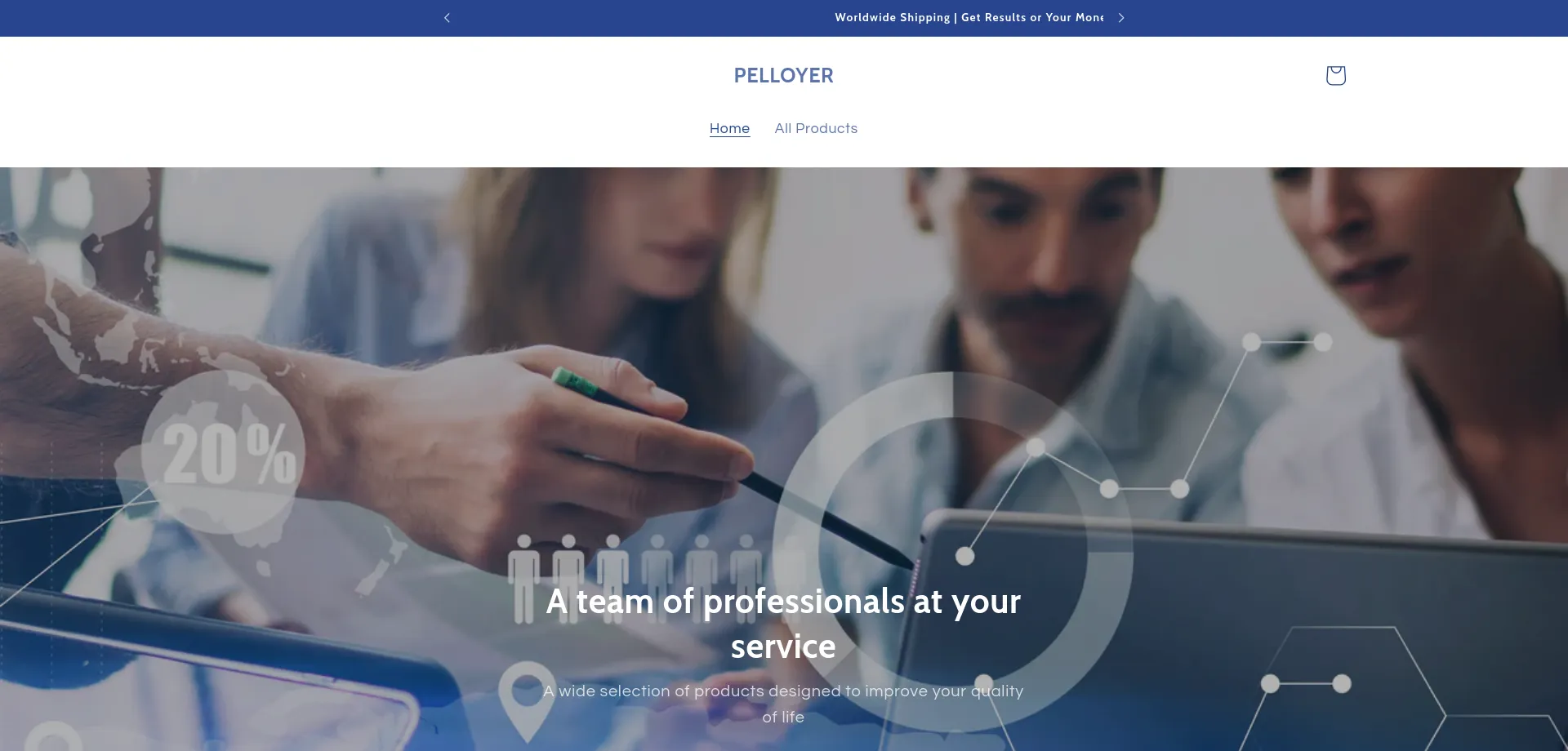 Website screenshot of Pelloyer.com
