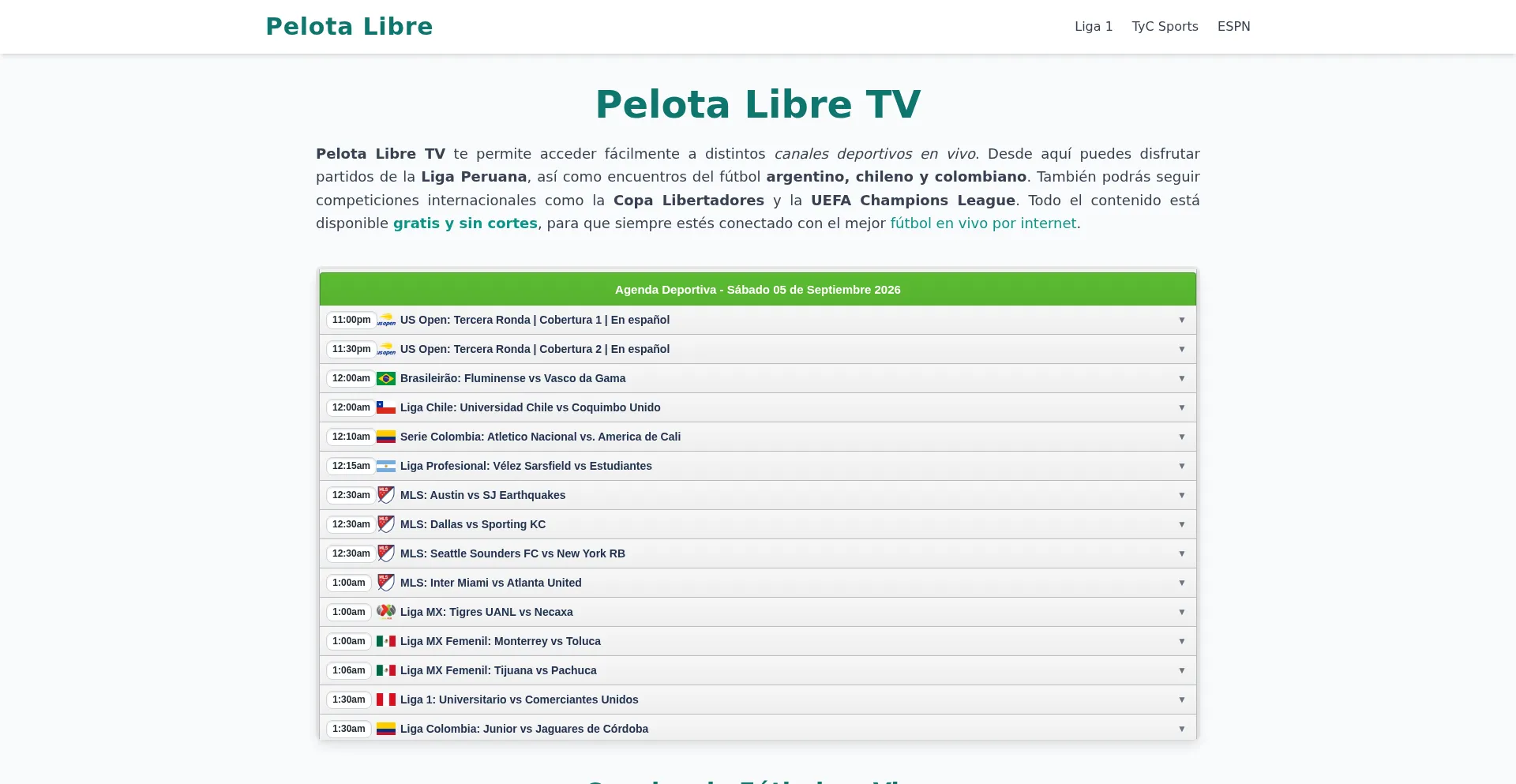 Pelotalibrestv.su