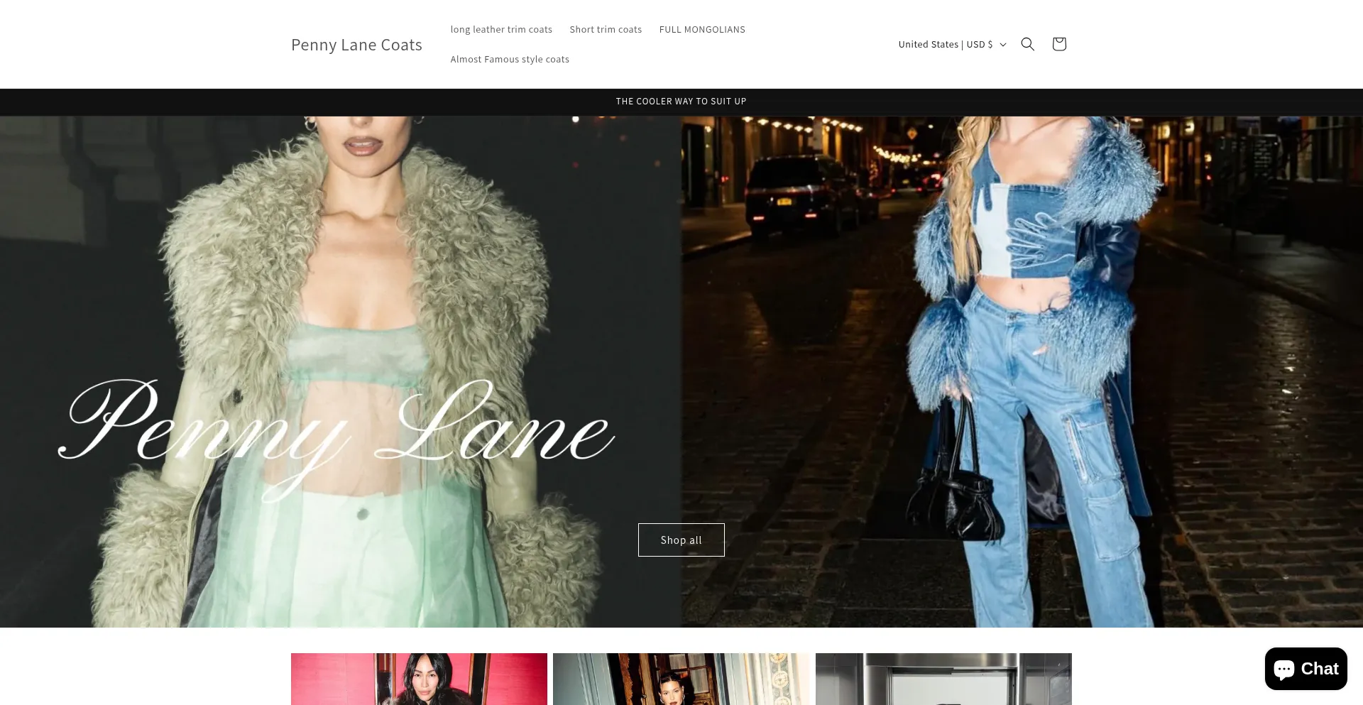 Website screenshot of Pennylanecoats.com