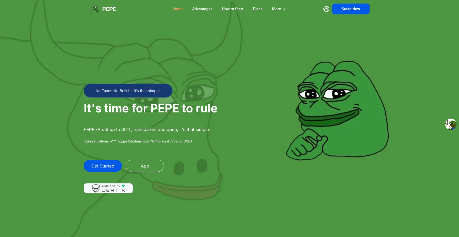 Website screenshot of Pepe-pe.com
