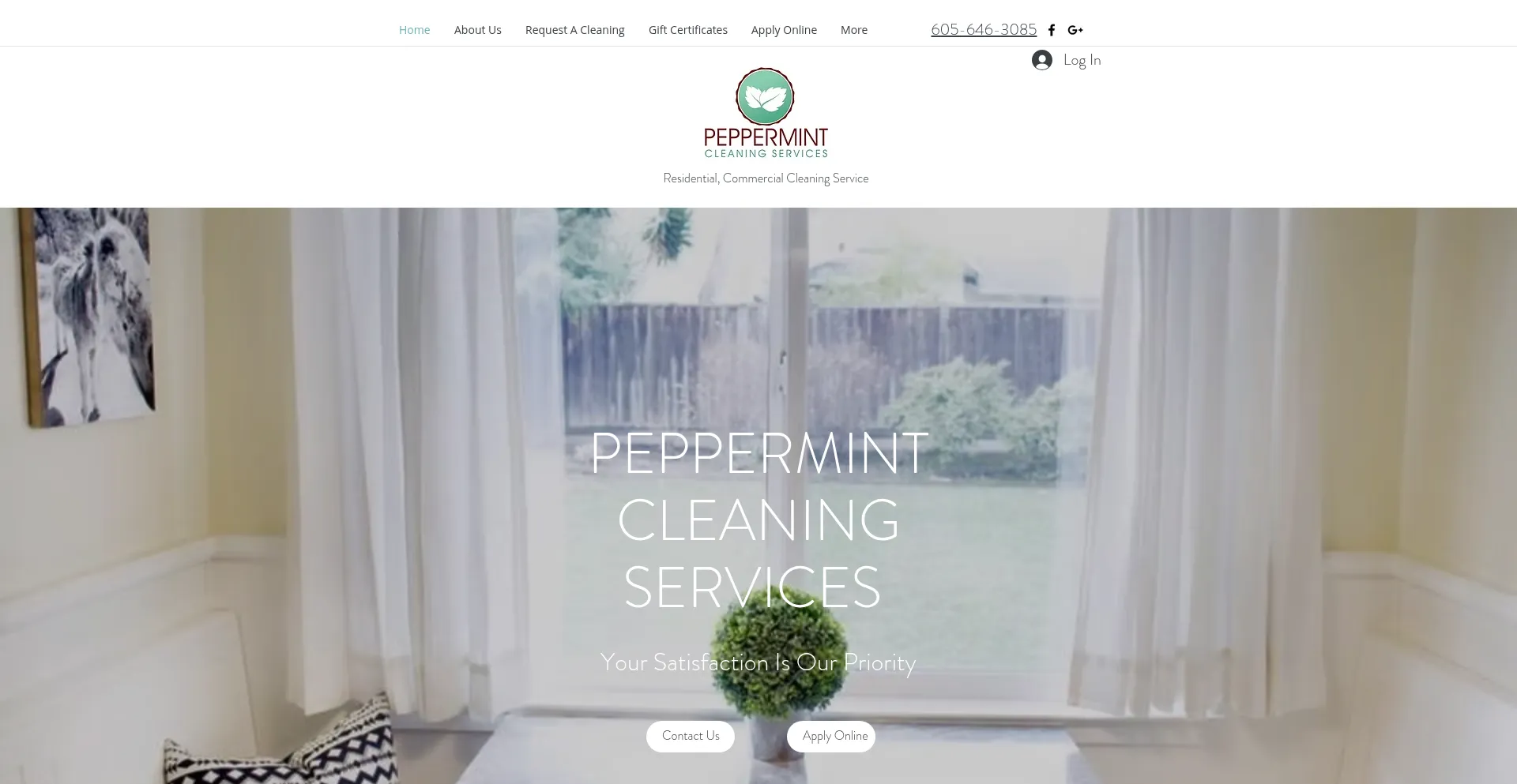 Website screenshot of Peppermintcleaningservices.com
