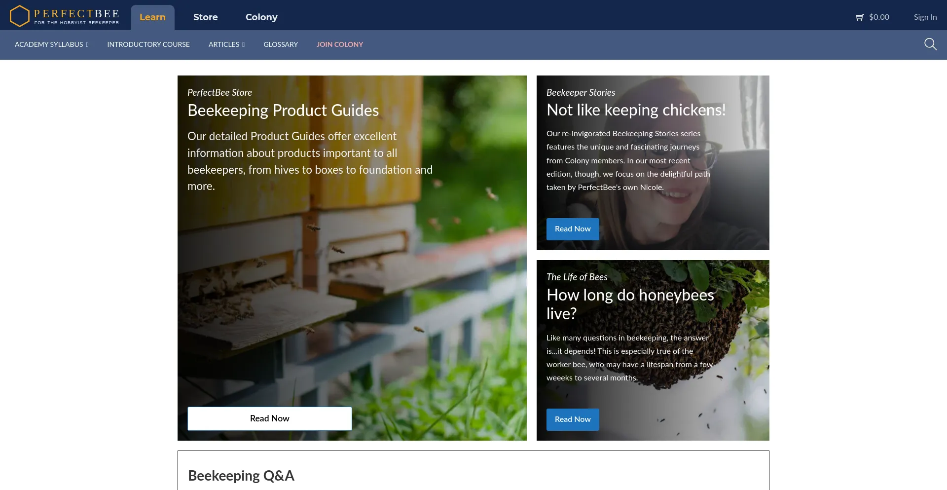 Website screenshot of Perfectbee.com