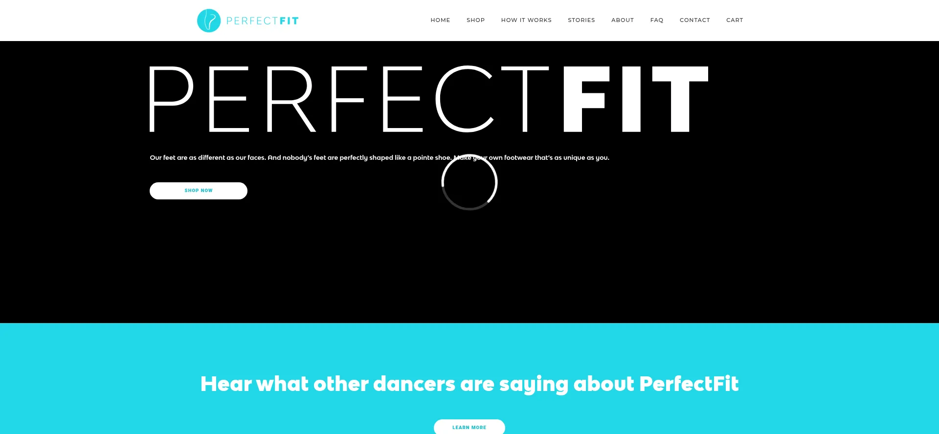 Perfectfitpointe.com