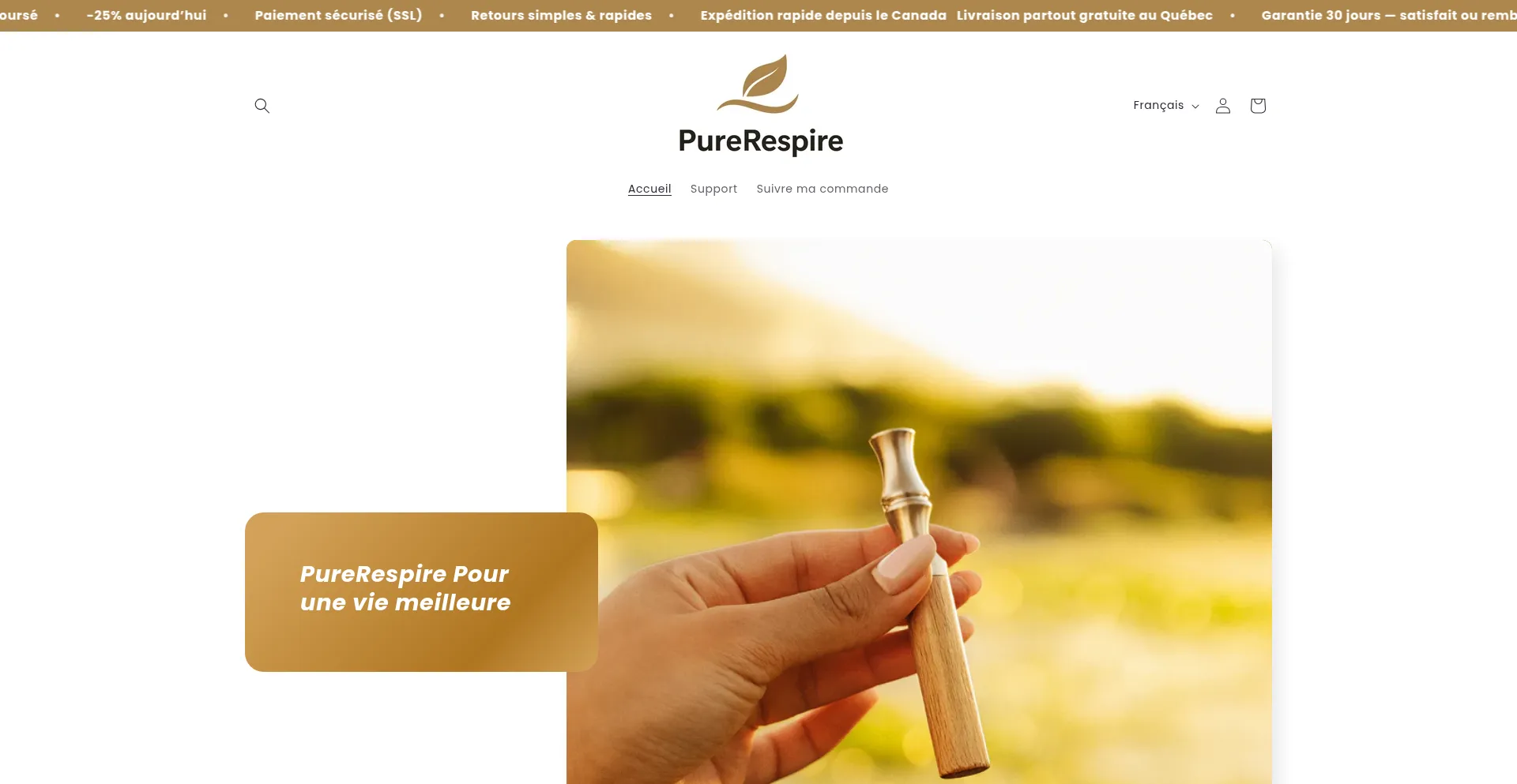 Is Perlebrush.ca Safe?