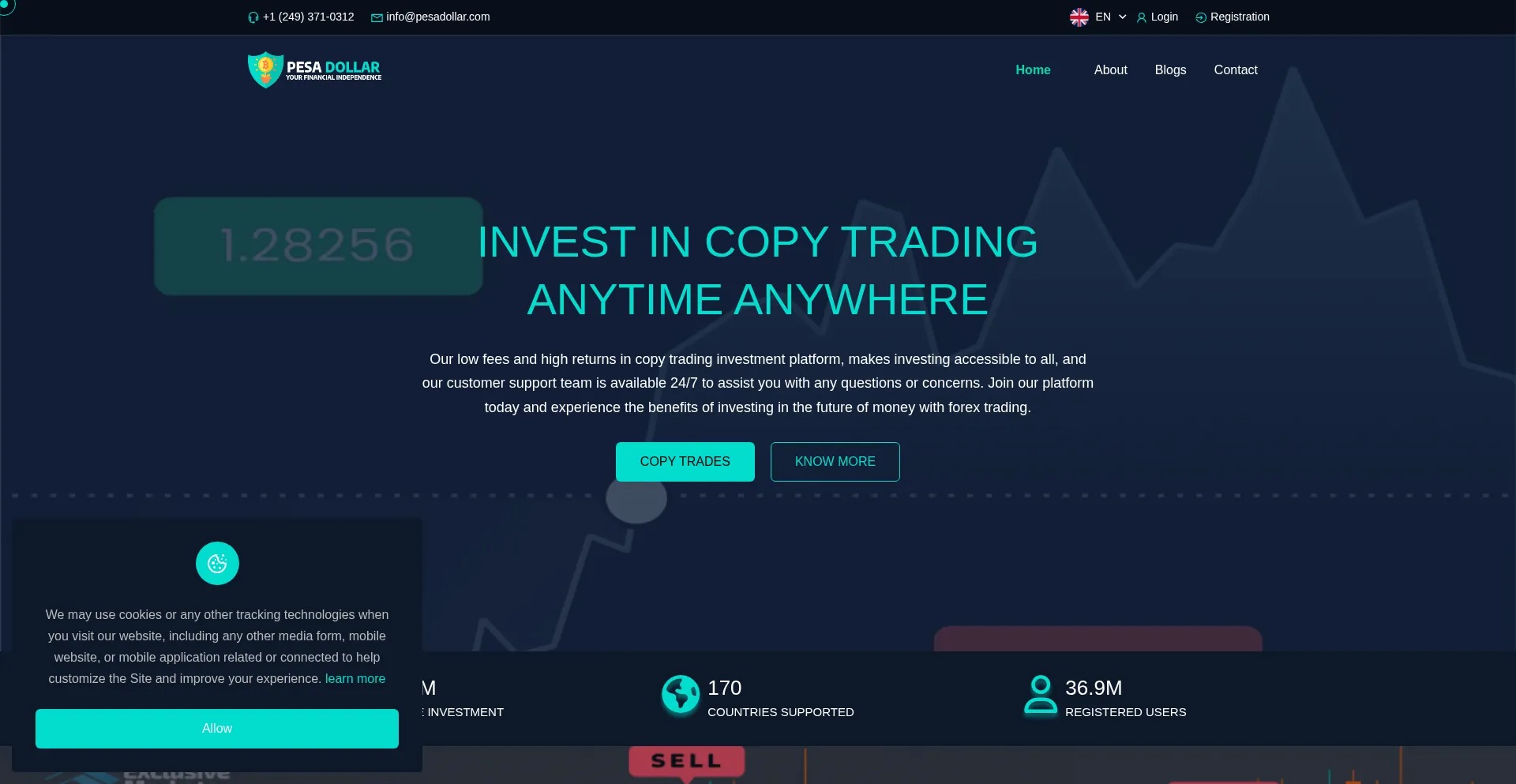 Is Pesadollar.com Safe?