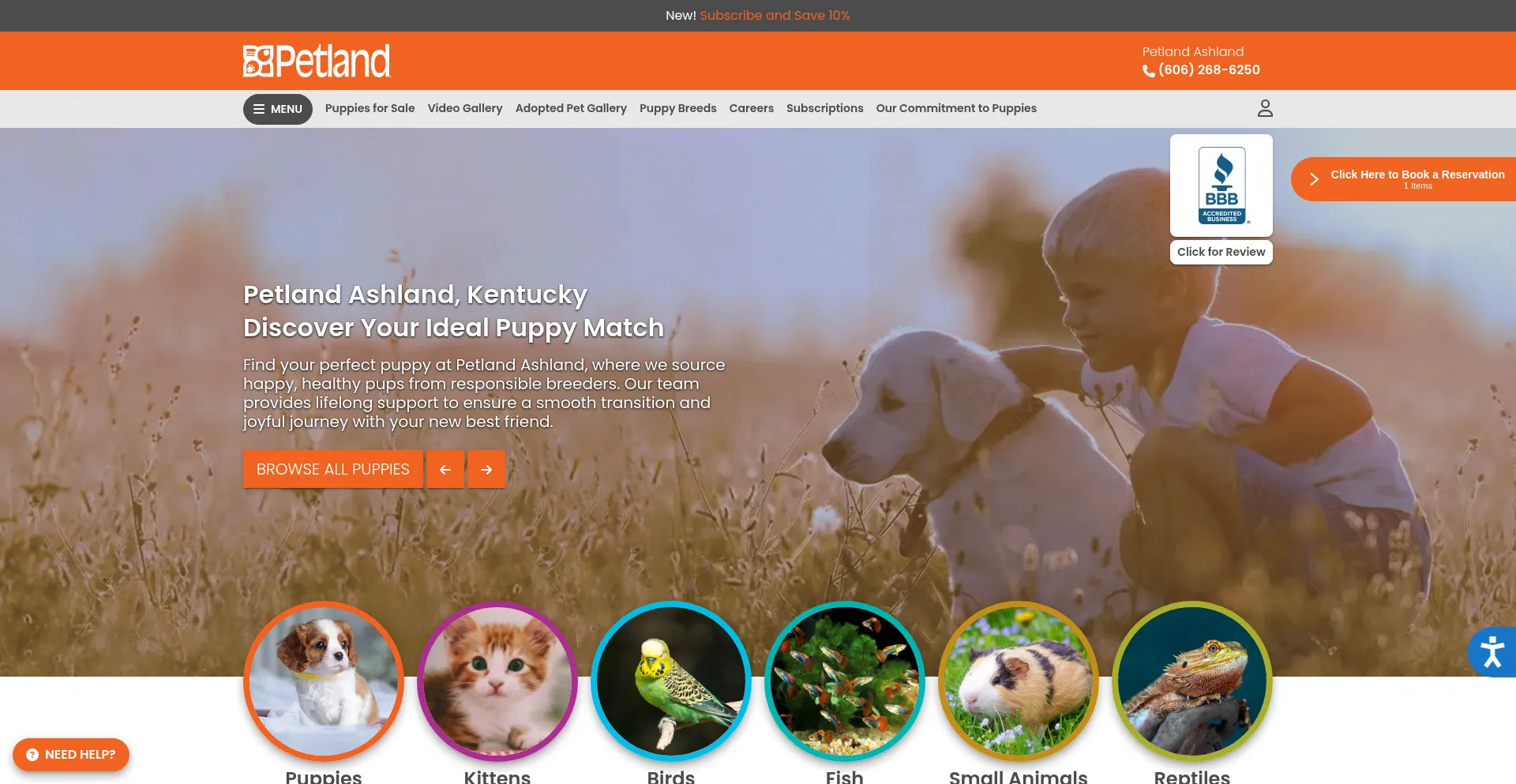 Website screenshot of Petlandashland.com