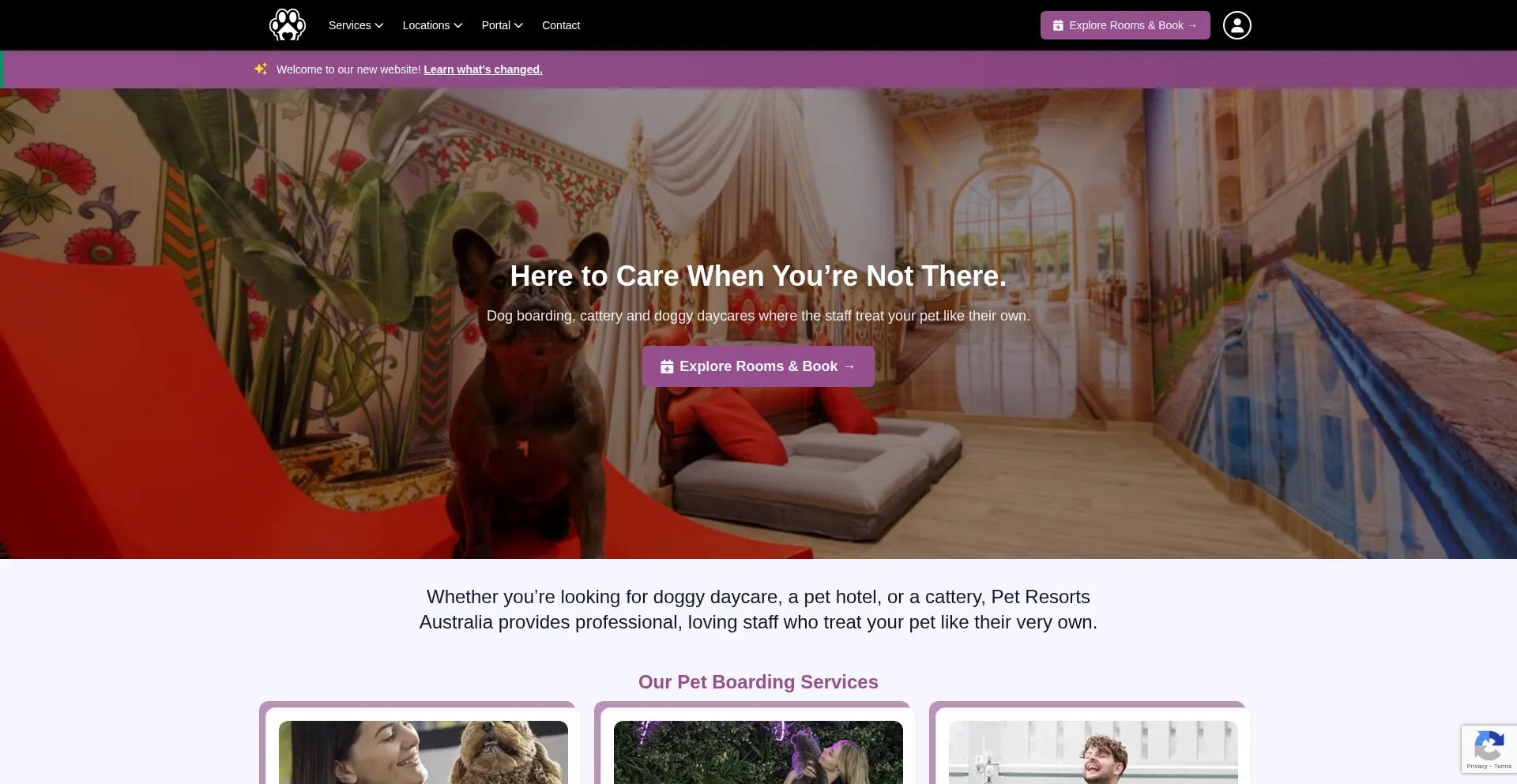 Petresortsaustralia.com.au Screenshot