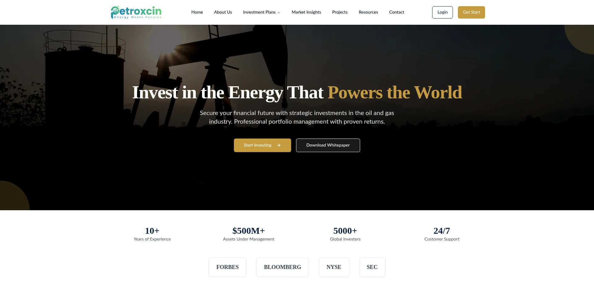 Website screenshot of Petroxcin.com