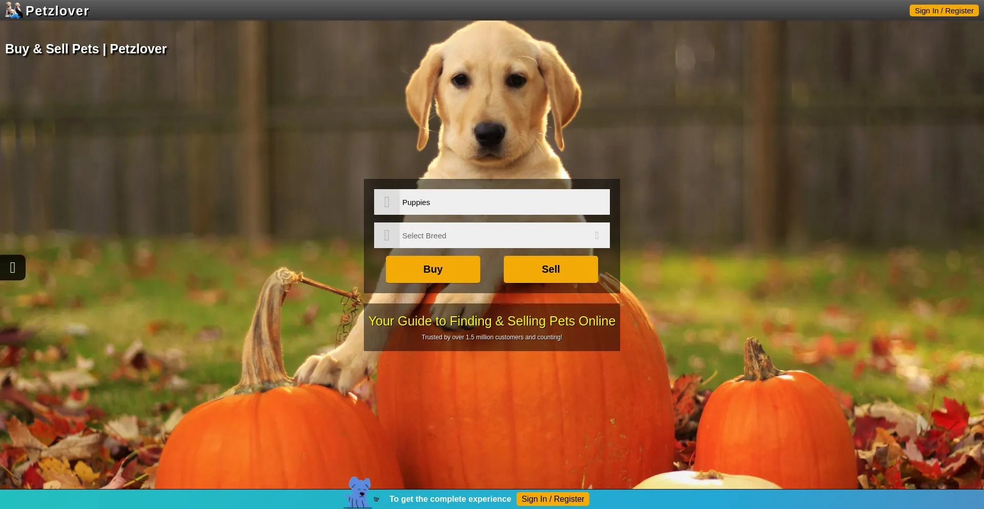 Website screenshot of Petzlover.com