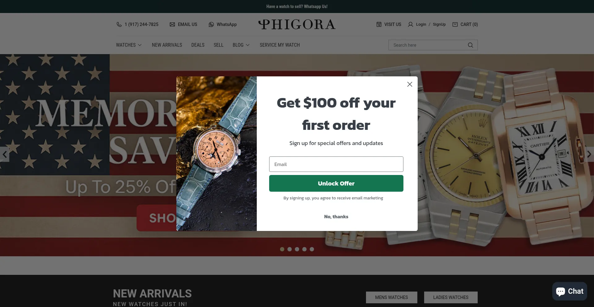 Website screenshot of Phigora.com