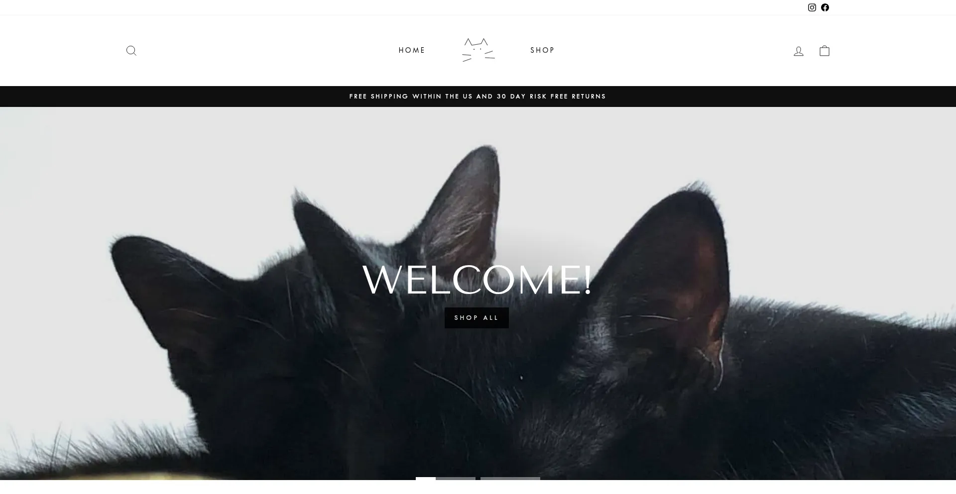 Website screenshot of Philandpearl.com
