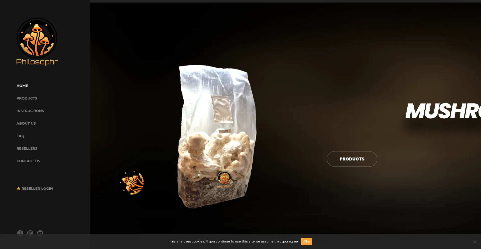 Website screenshot of Philosophr.eu