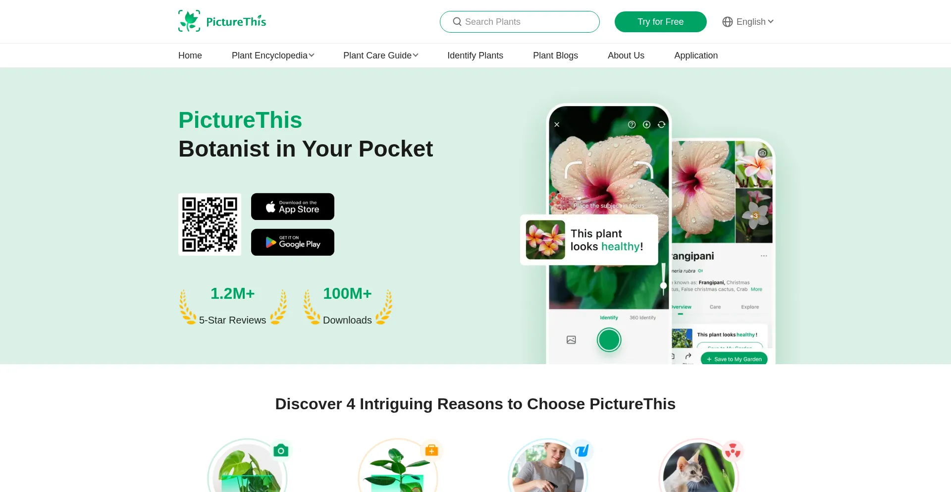 Website screenshot of Picturethisai.com