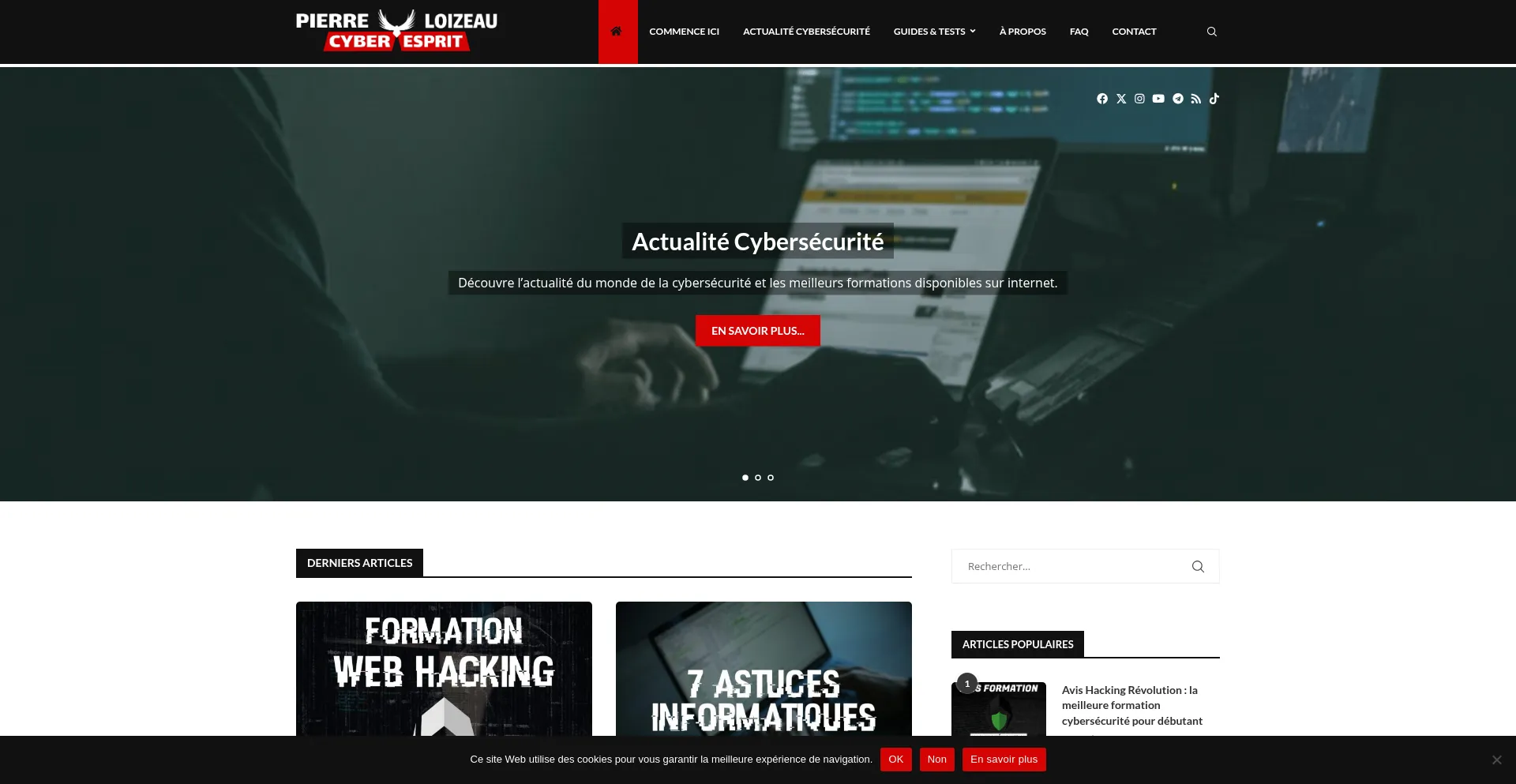 Website screenshot of Pierreloizeau.com