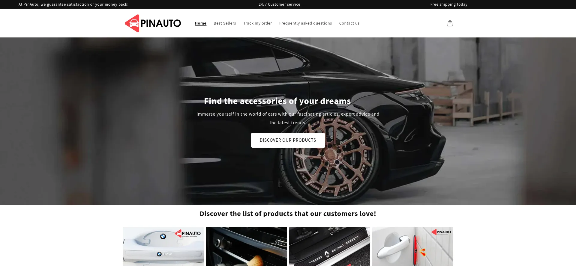 Website screenshot of Pinauto-store.com