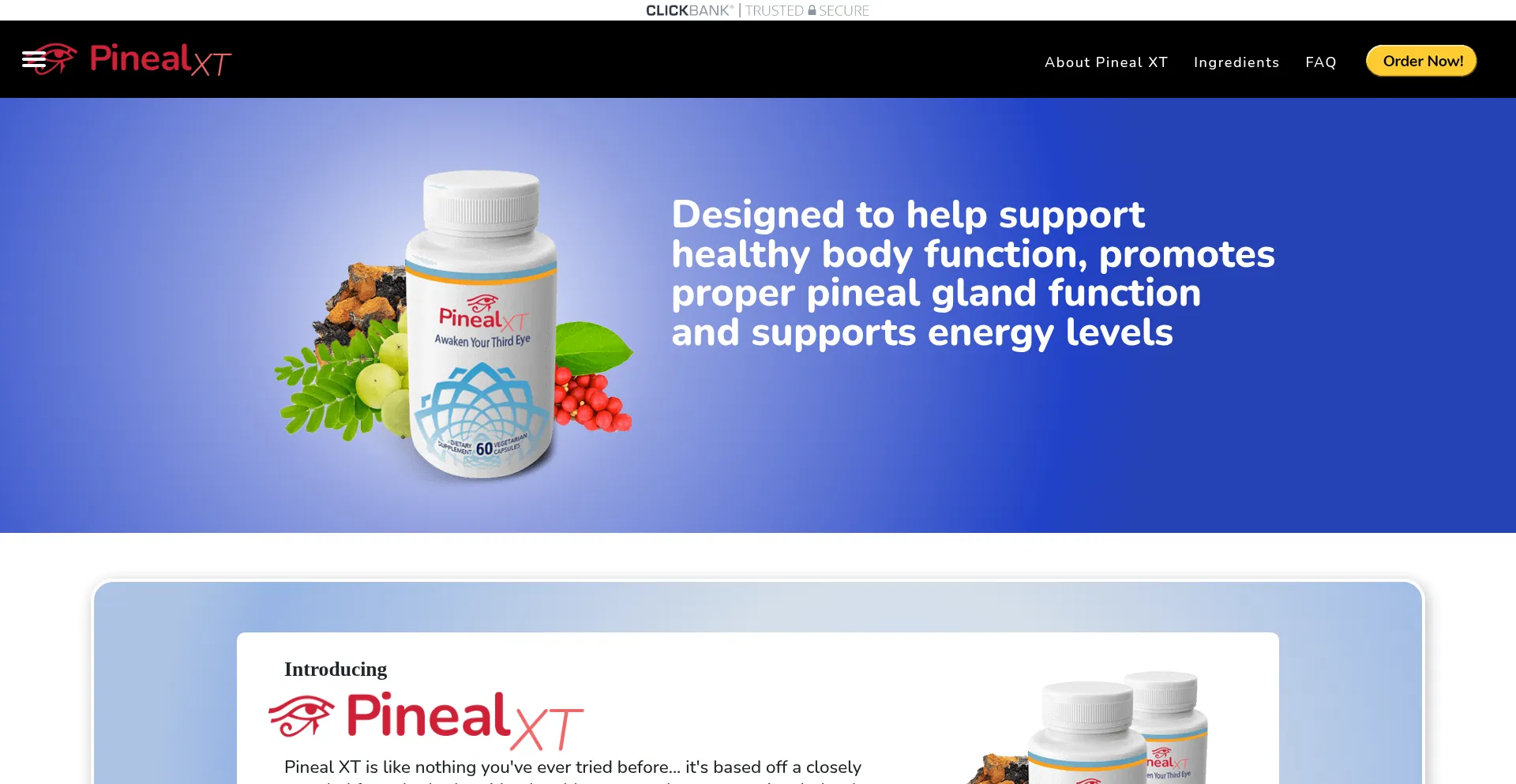 Pinealxt.com