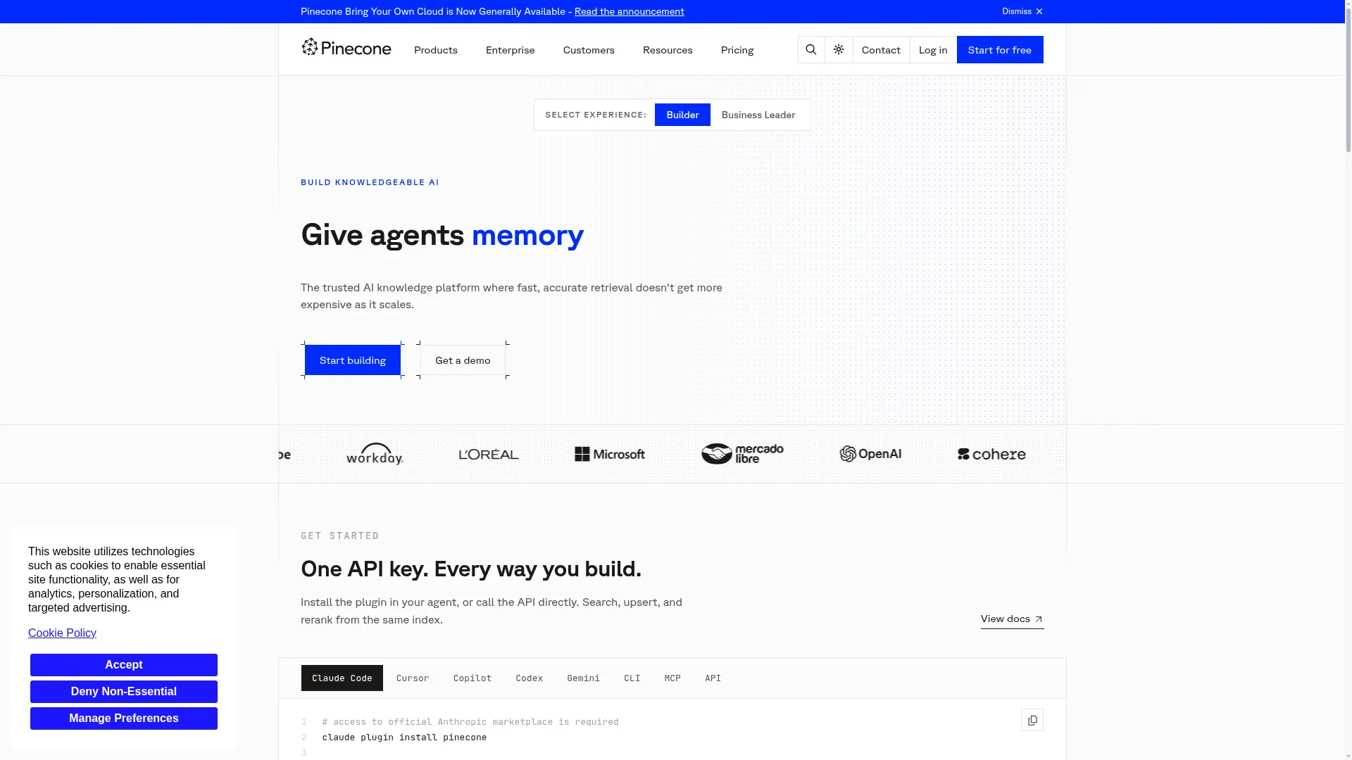 Pinecone.io
