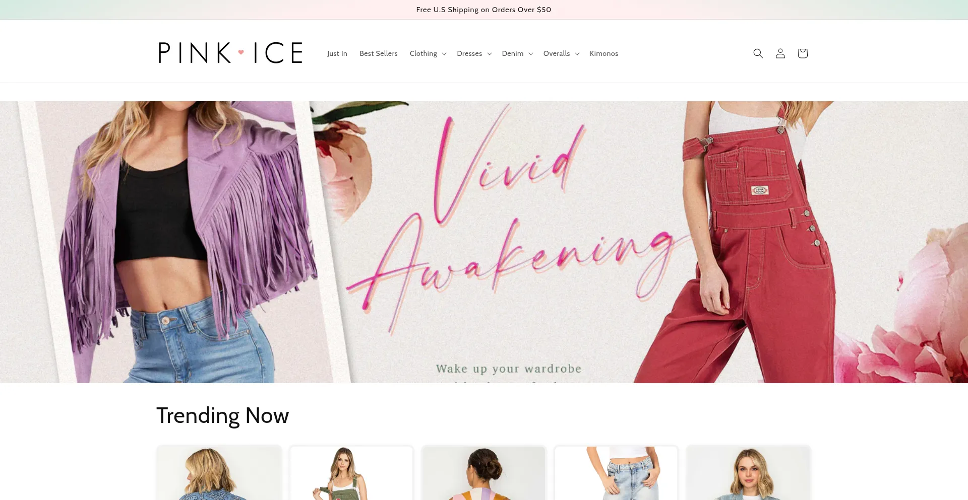 Website screenshot of Pinkice.com
