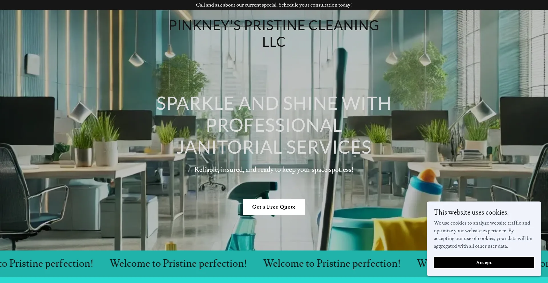 Pinkpcleaning.com Screenshot