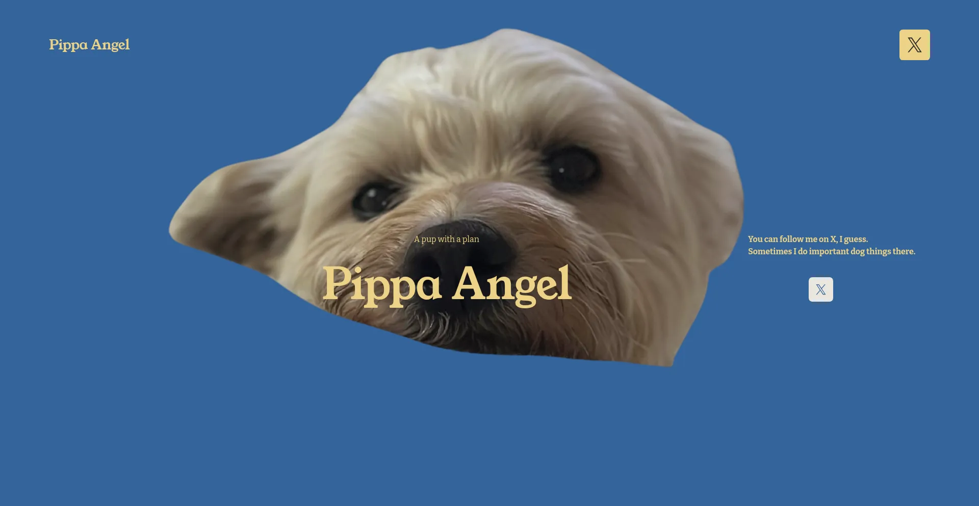 Pippaangel.com