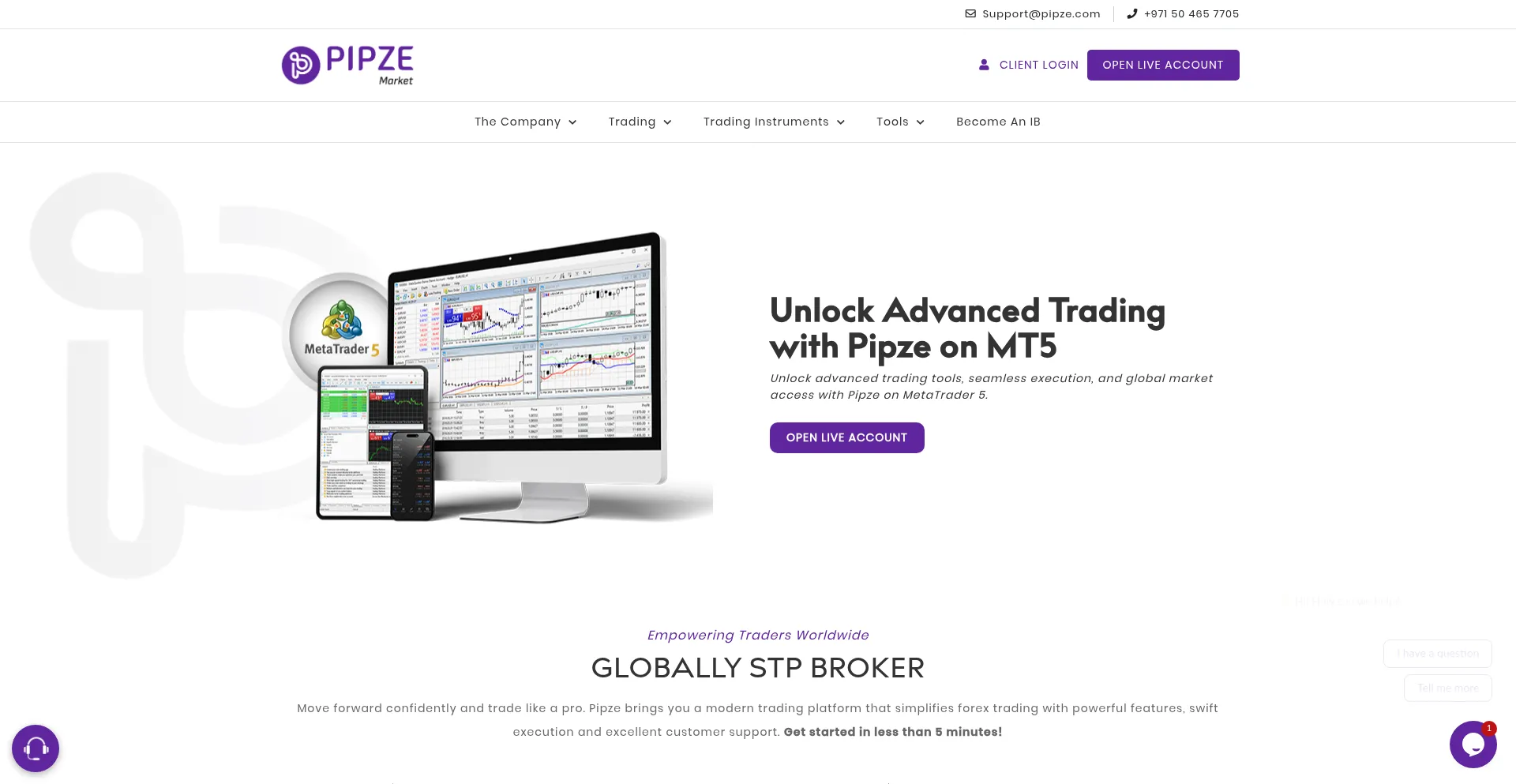 Website screenshot of Pipze.com