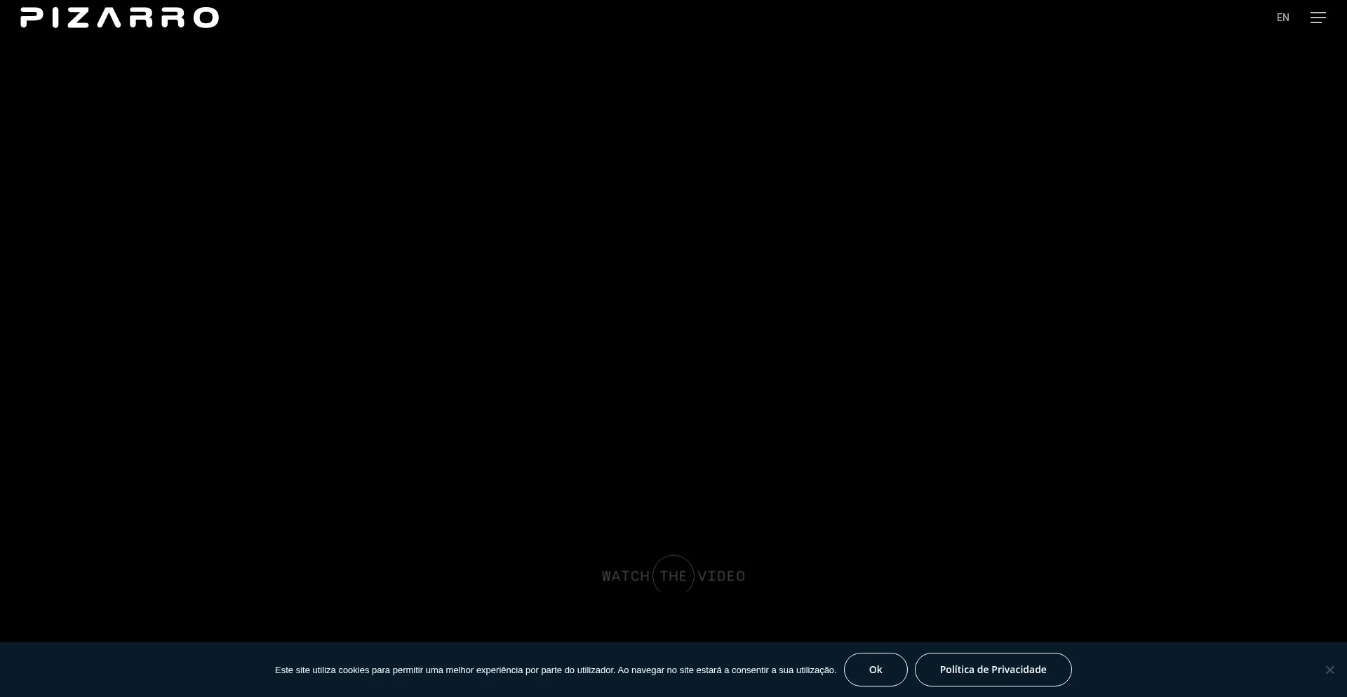 Website screenshot of Pizarro.pt