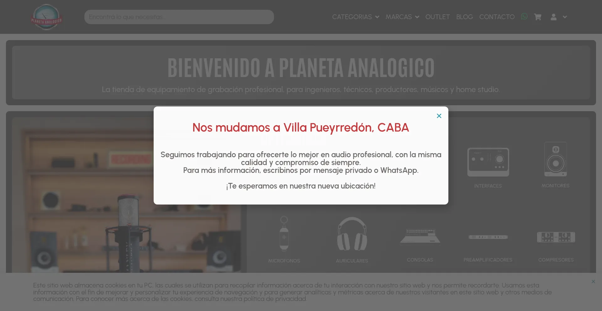 Website screenshot of Planetaanalogico.com