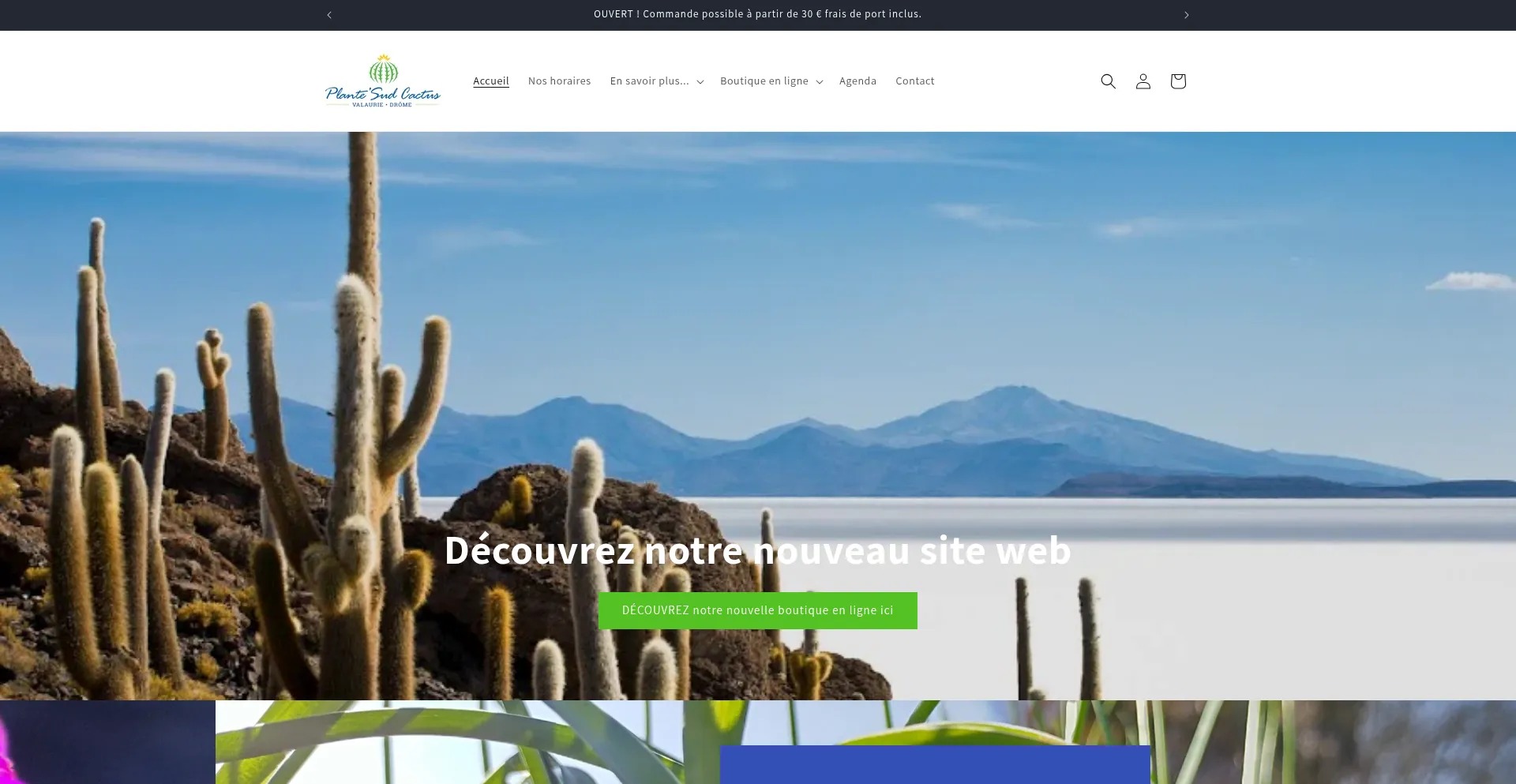 Website screenshot of Plantesudcactus.com