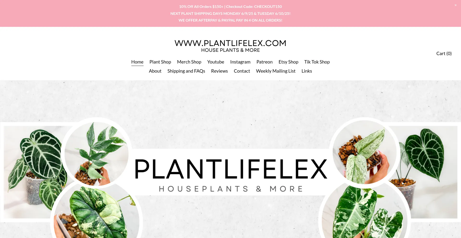 Website screenshot of Plantlifelex.com