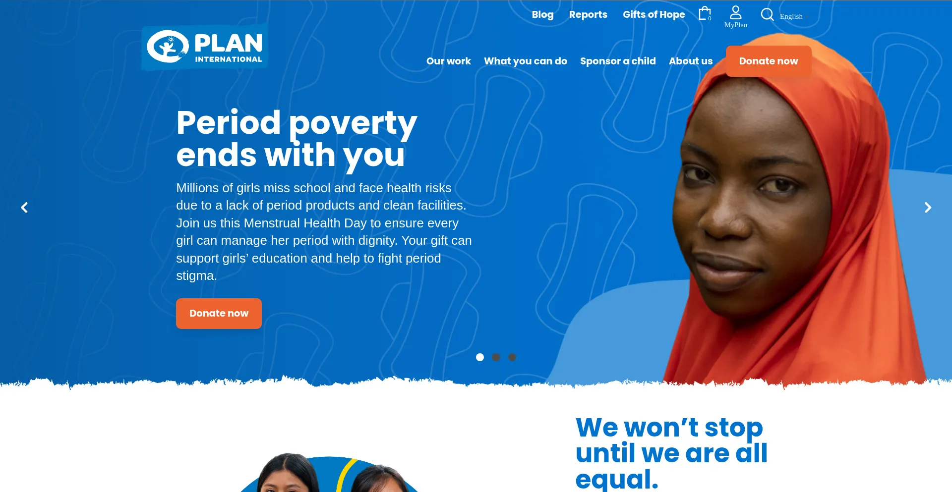 Website screenshot of Planusa.org