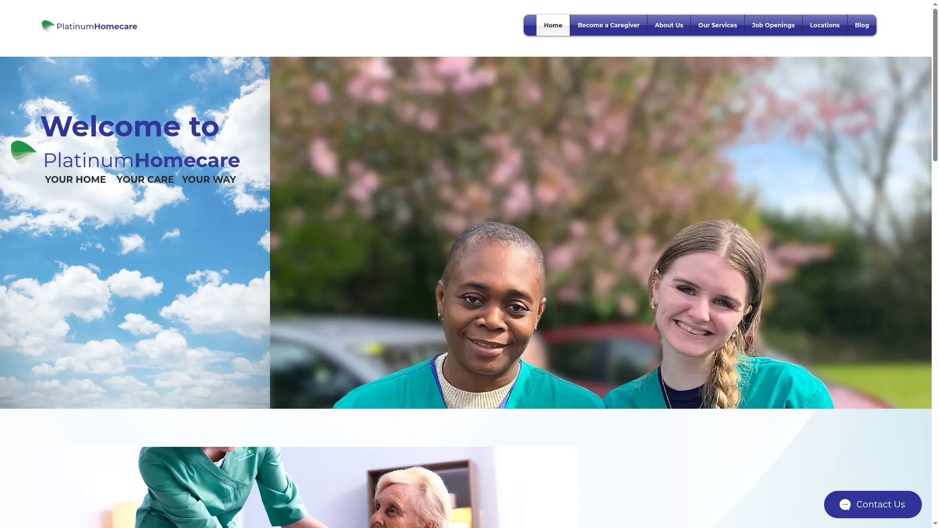 Platinumhomecare.ie