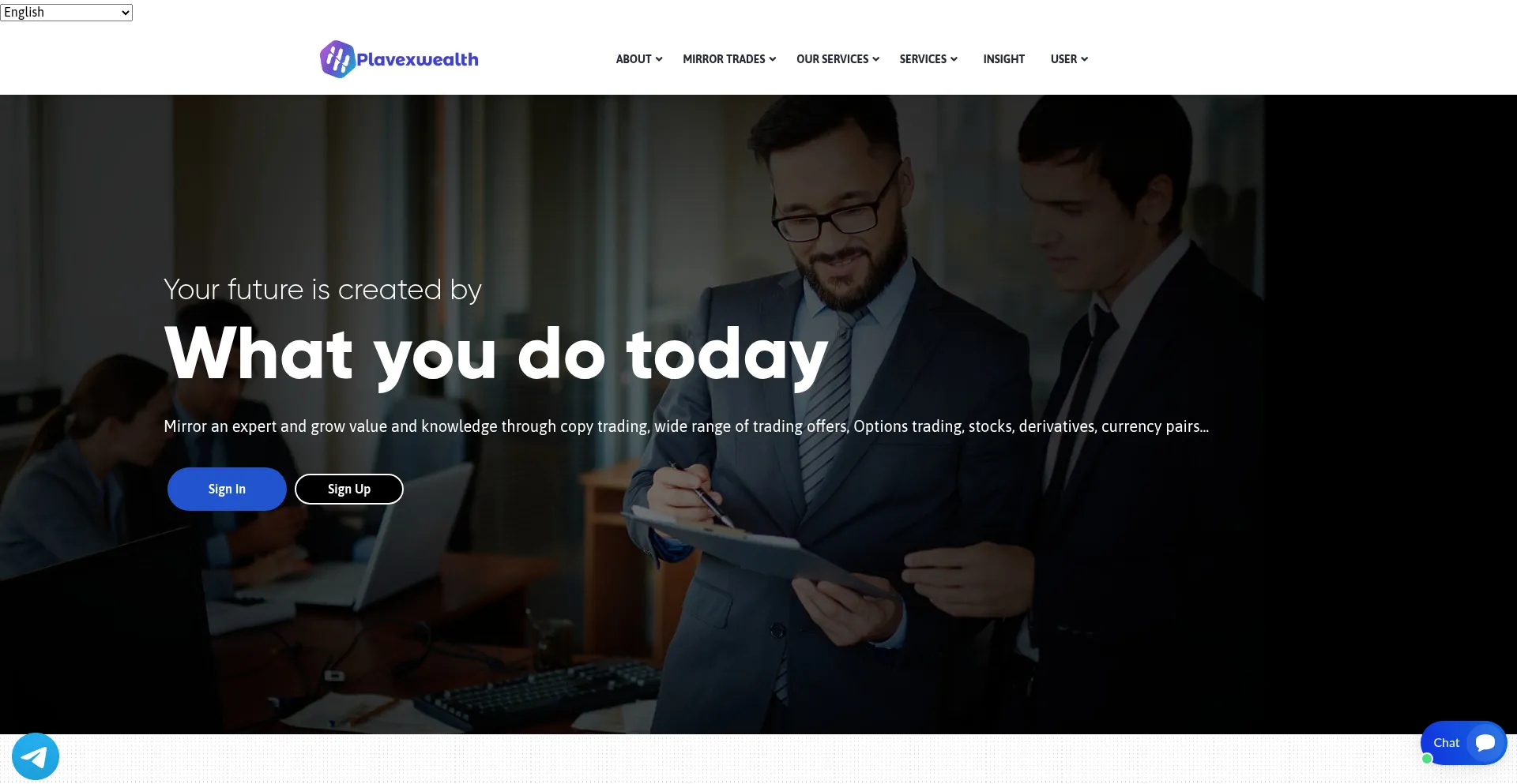 Website screenshot of Plavexwealth.com